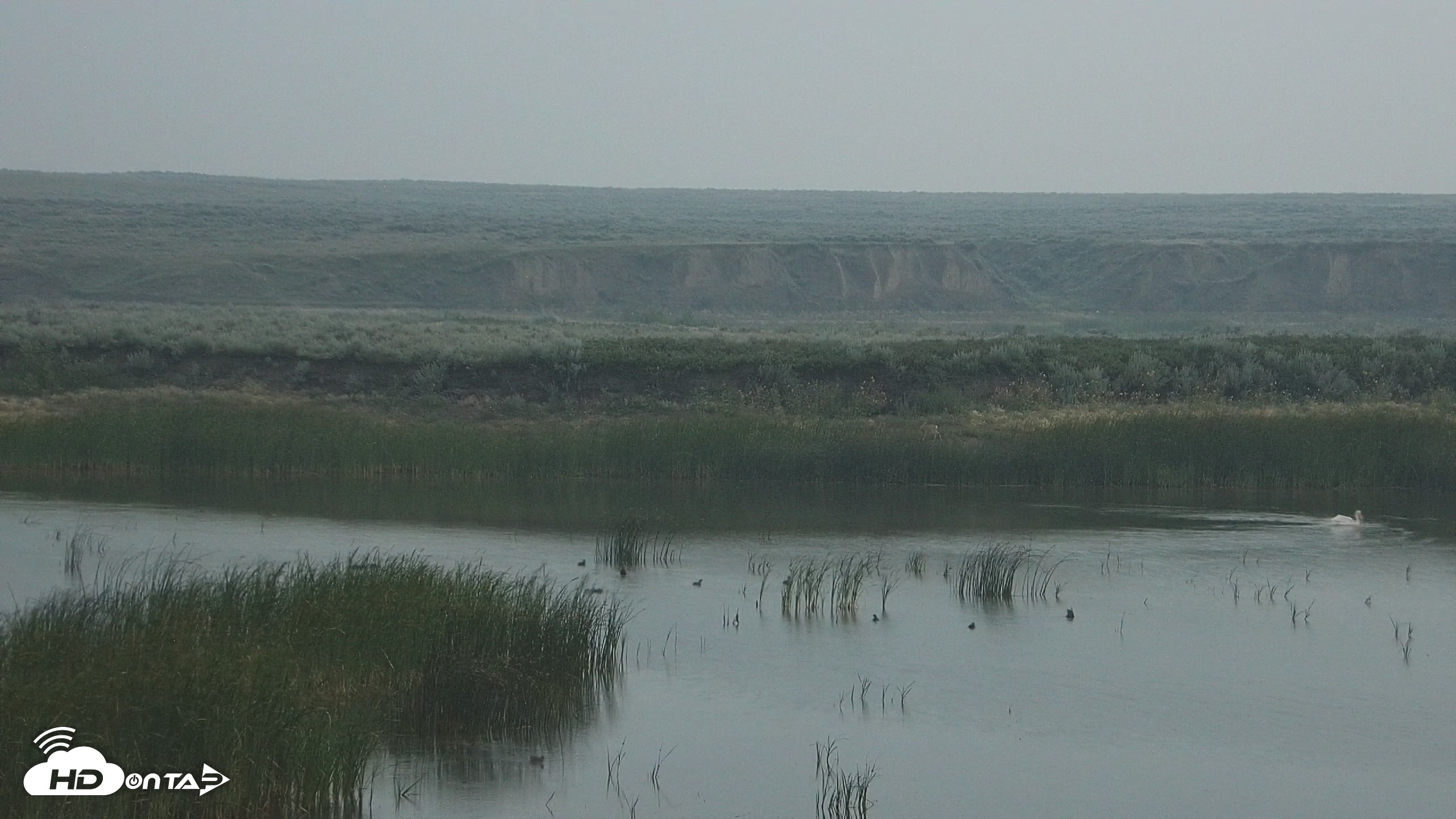 Snapshot of American Prairie Montana Bison Live Cam taken Jul 22, 2025, 5:27am MDT