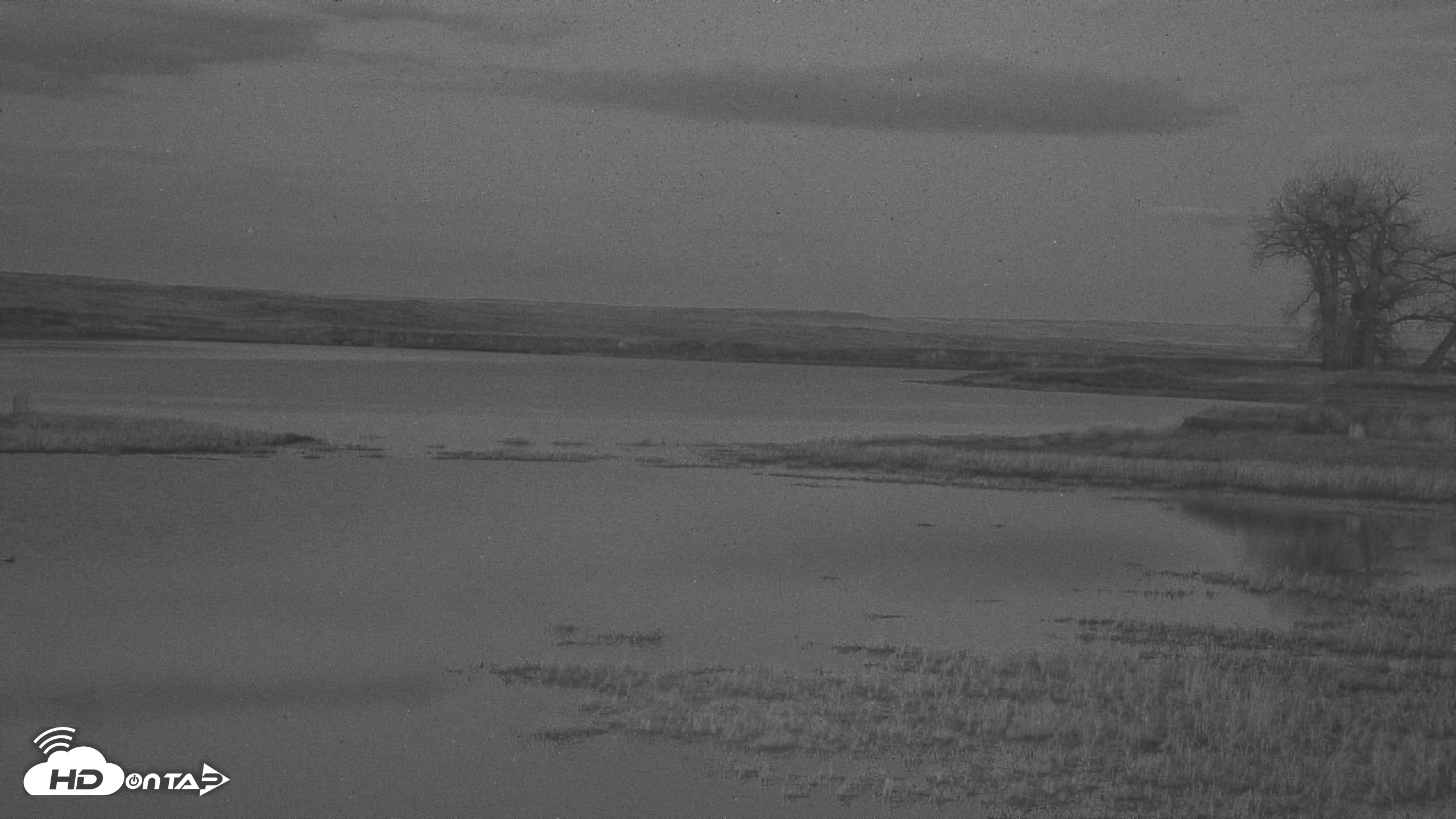 Snapshot of American Prairie Montana Bison Live Cam taken Apr 22, 2025, 8:51pm MDT
