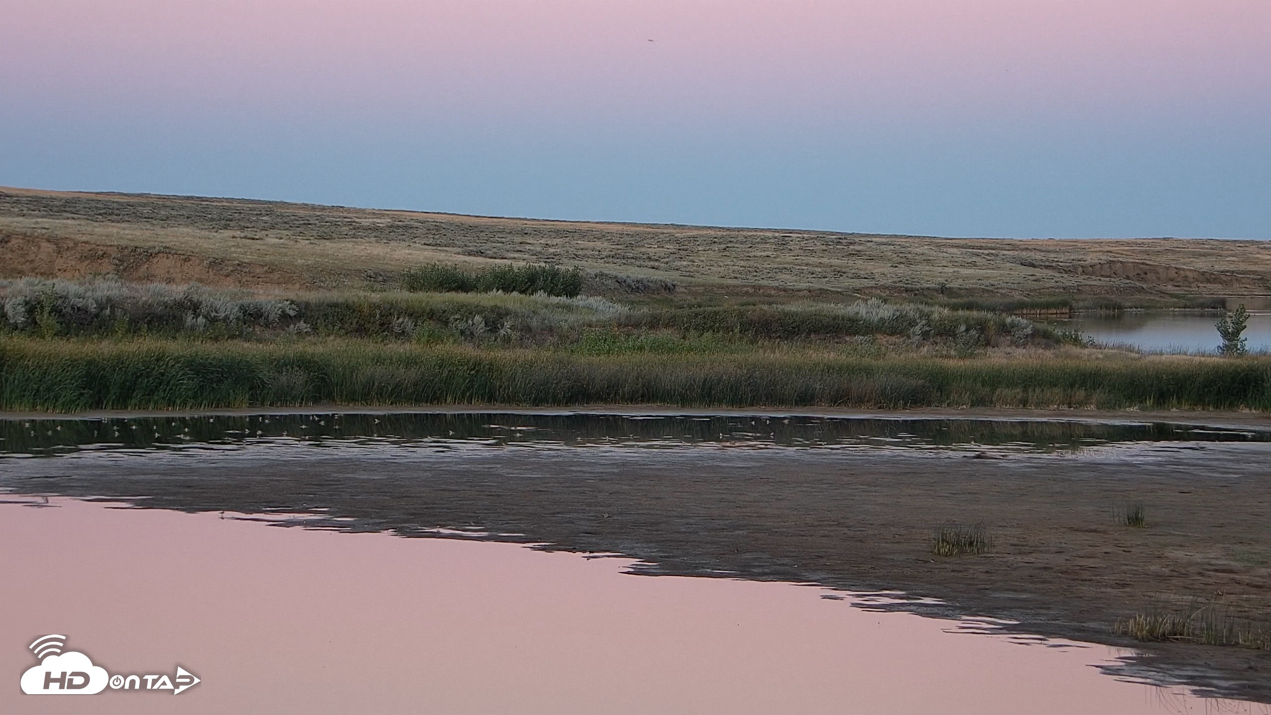 Snapshot of American Prairie Montana Bison Live Cam taken Aug 31, 2026, 7:59pm MDT