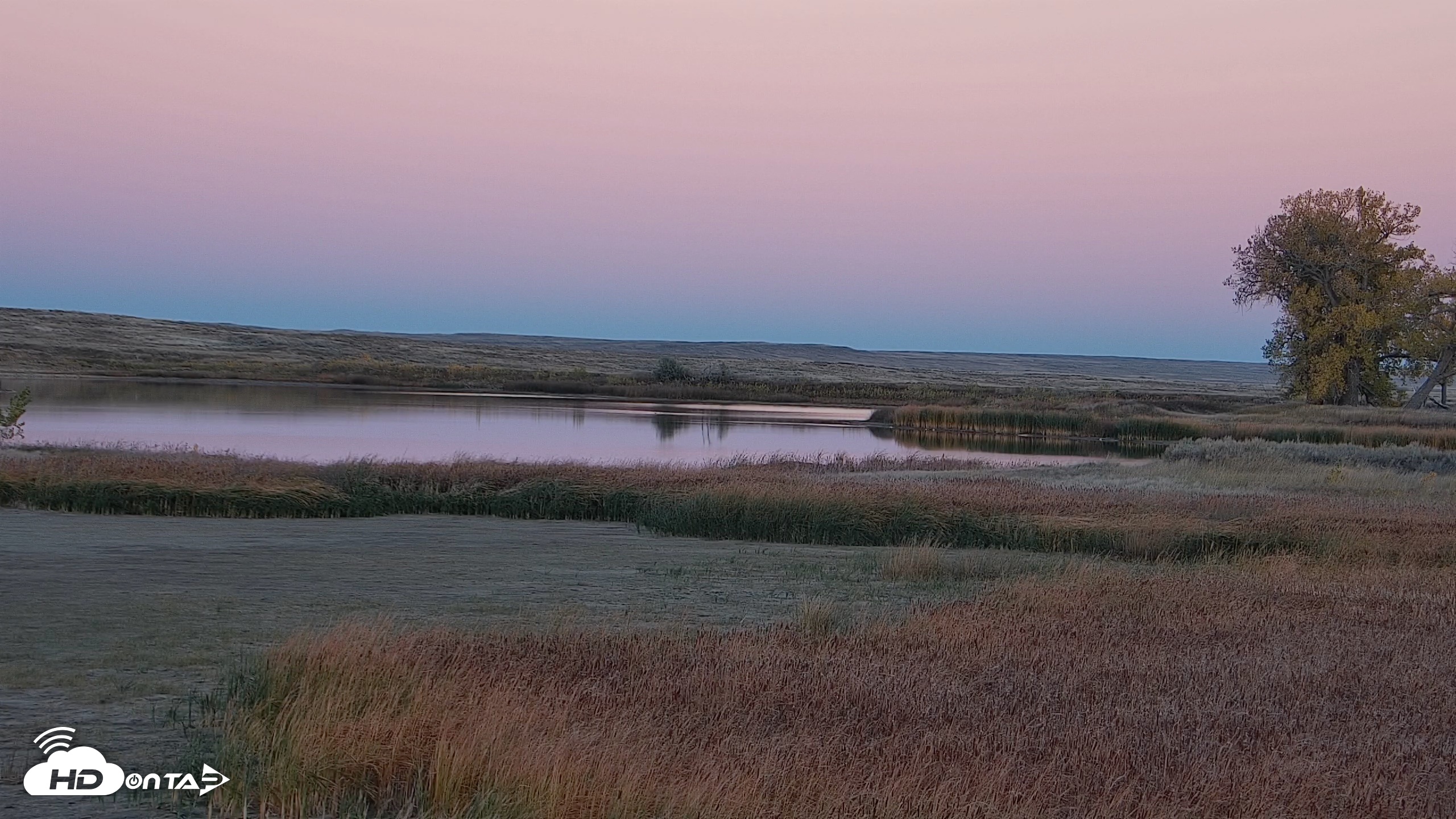 Snapshot of American Prairie Montana Bison Live Cam taken Oct 15, 2026, 6:24pm MDT