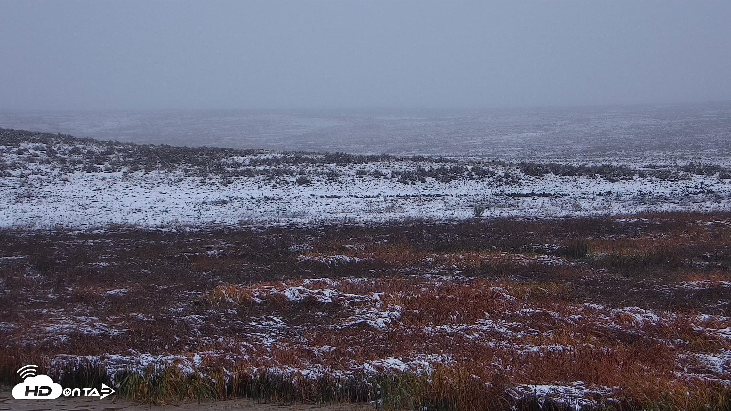 Snapshot of American Prairie Montana Bison Live Cam taken Oct 12, 2026, 11:45am MDT