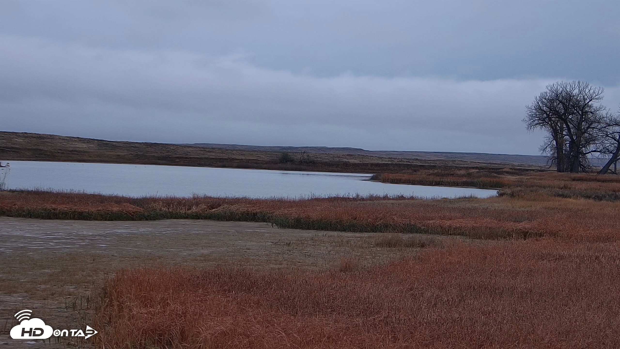 Snapshot of American Prairie Montana Bison Live Cam taken Oct 27, 2026, 10:29am MDT