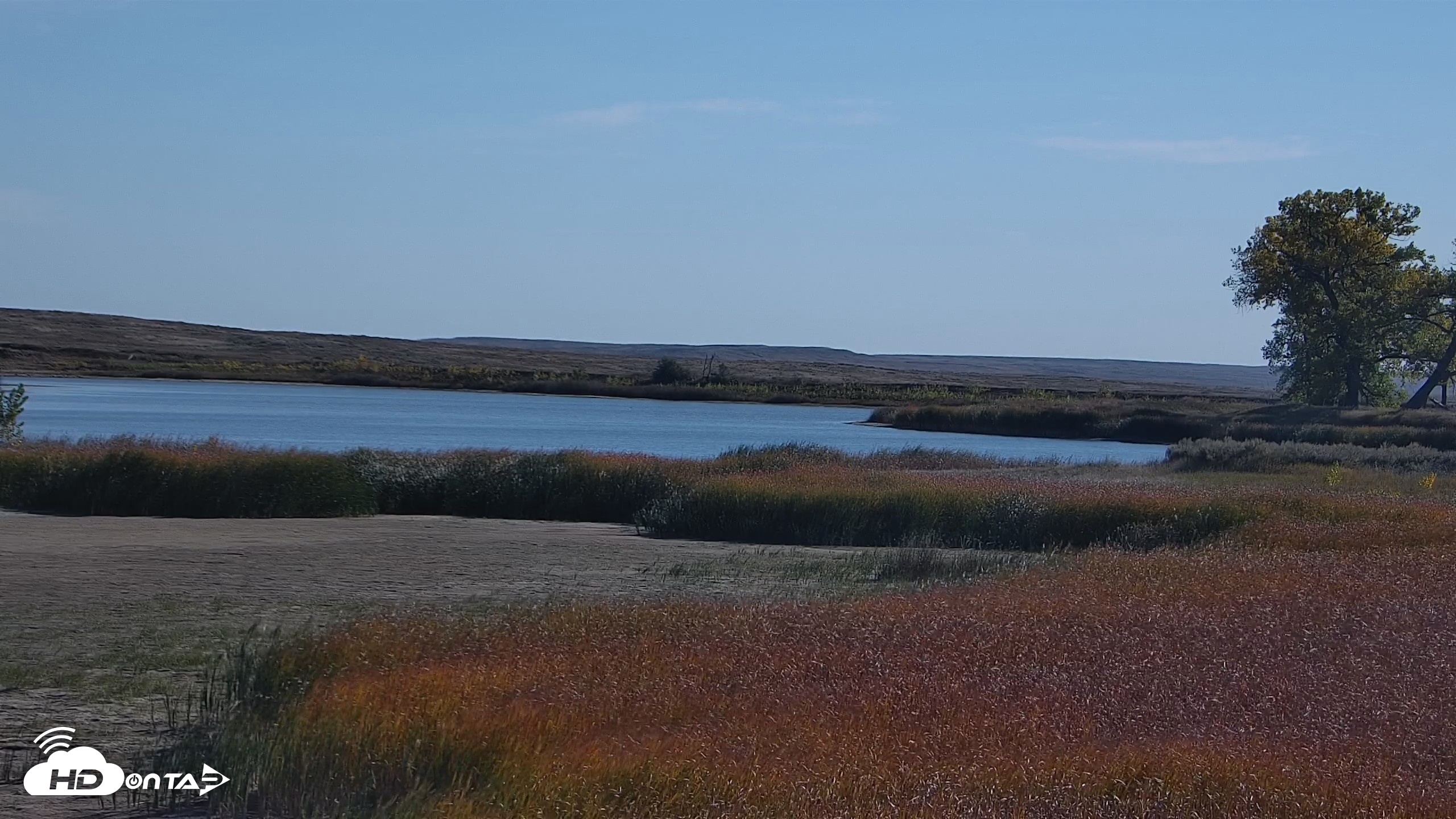 Snapshot of American Prairie Montana Bison Live Cam taken Oct 6, 2026, 10:20am MDT