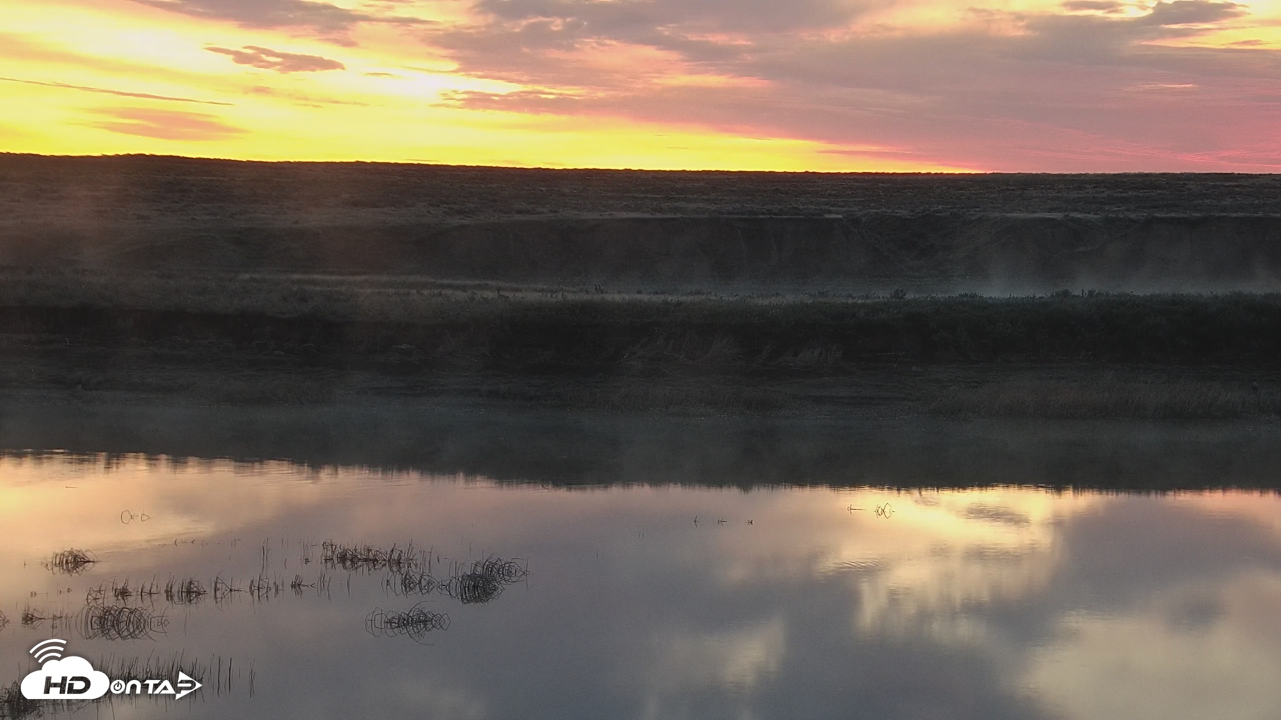 Snapshot of American Prairie Montana Bison Live Cam taken May 6, 2025, 5:24am MDT