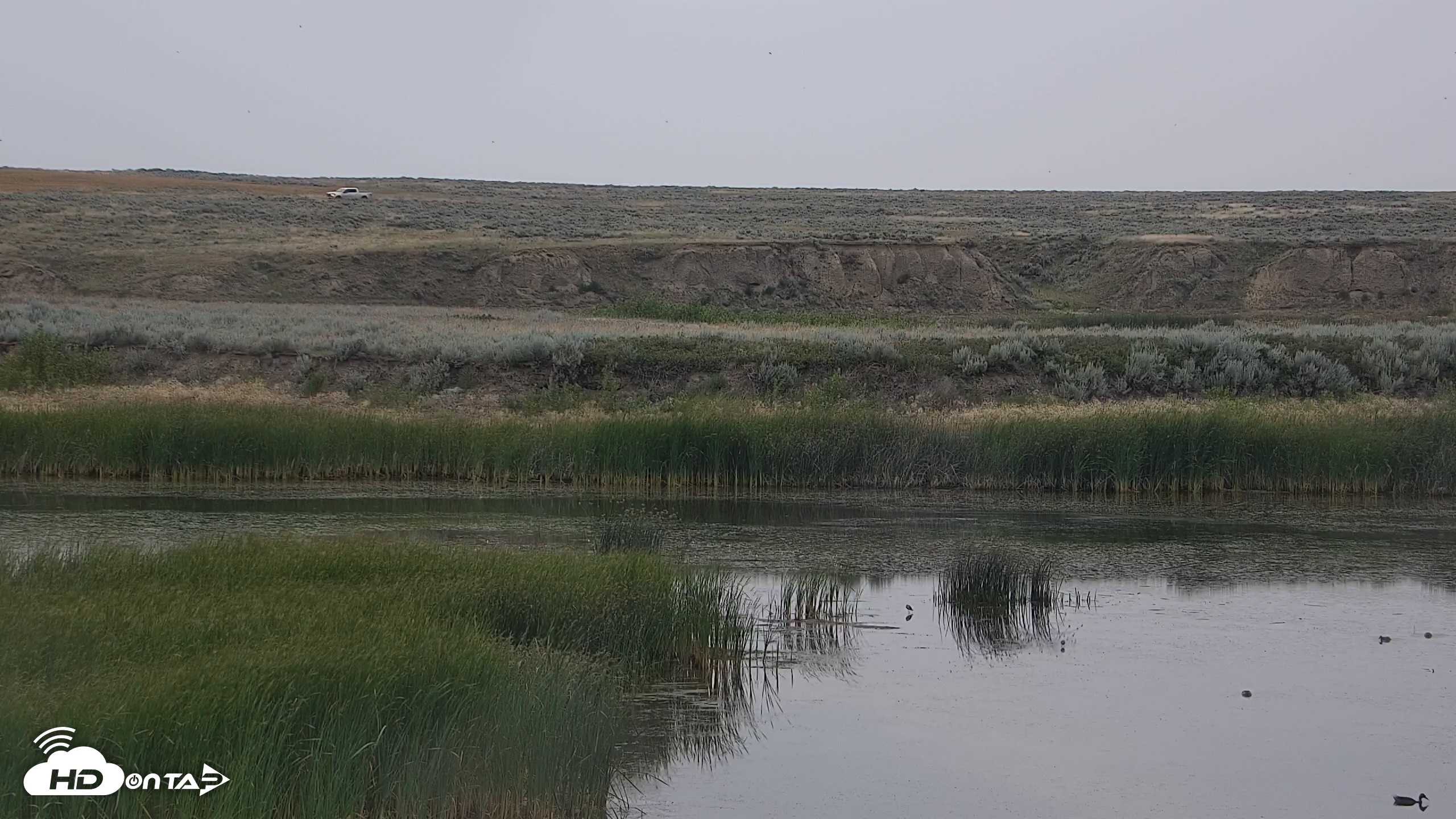Snapshot of American Prairie Montana Bison Live Cam taken Jul 30, 2026, 6:41am MDT