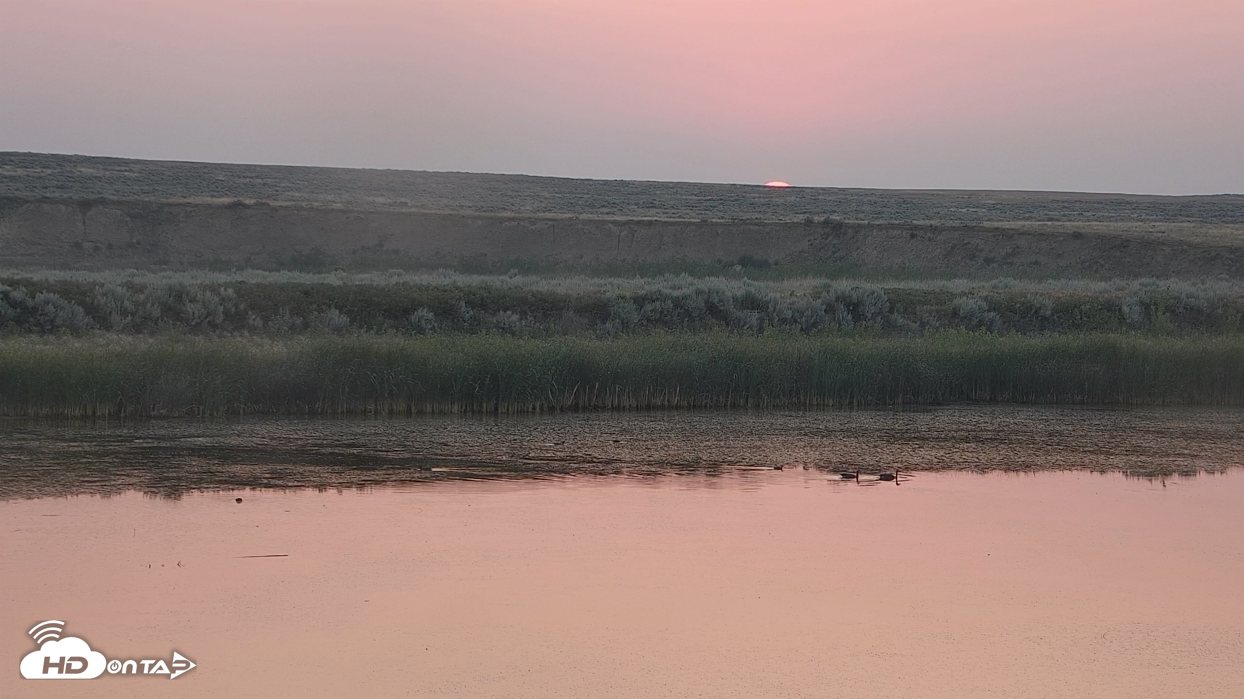Snapshot of American Prairie Montana Bison Live Cam taken Aug 1, 2026, 5:54am MDT