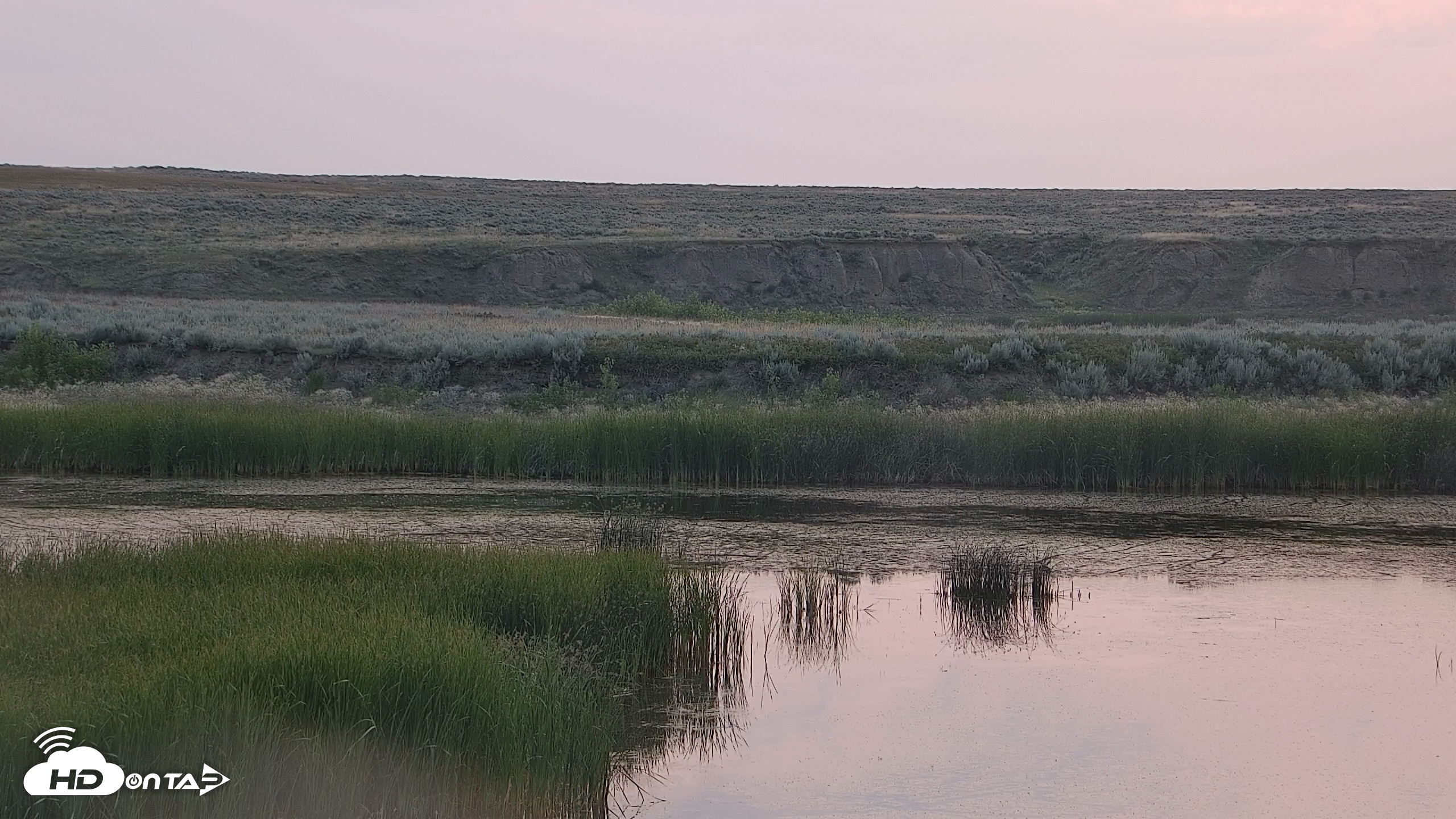 Snapshot of American Prairie Montana Bison Live Cam taken Jul 23, 2026, 6:27am MDT