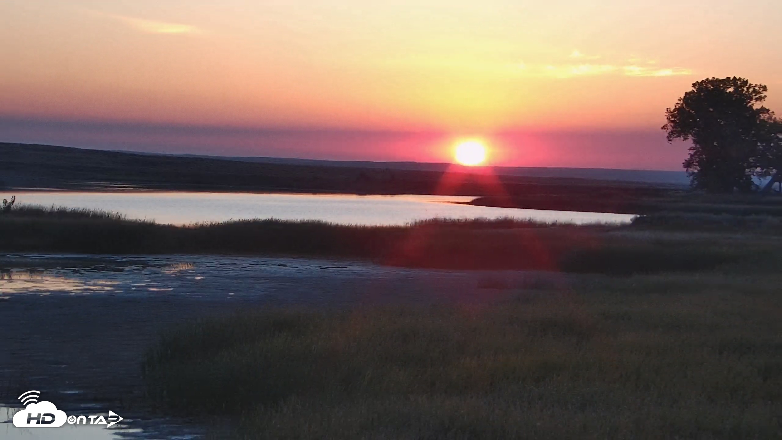 Snapshot of American Prairie Montana Bison Live Cam taken Sep 27, 2025, 7:11am MDT