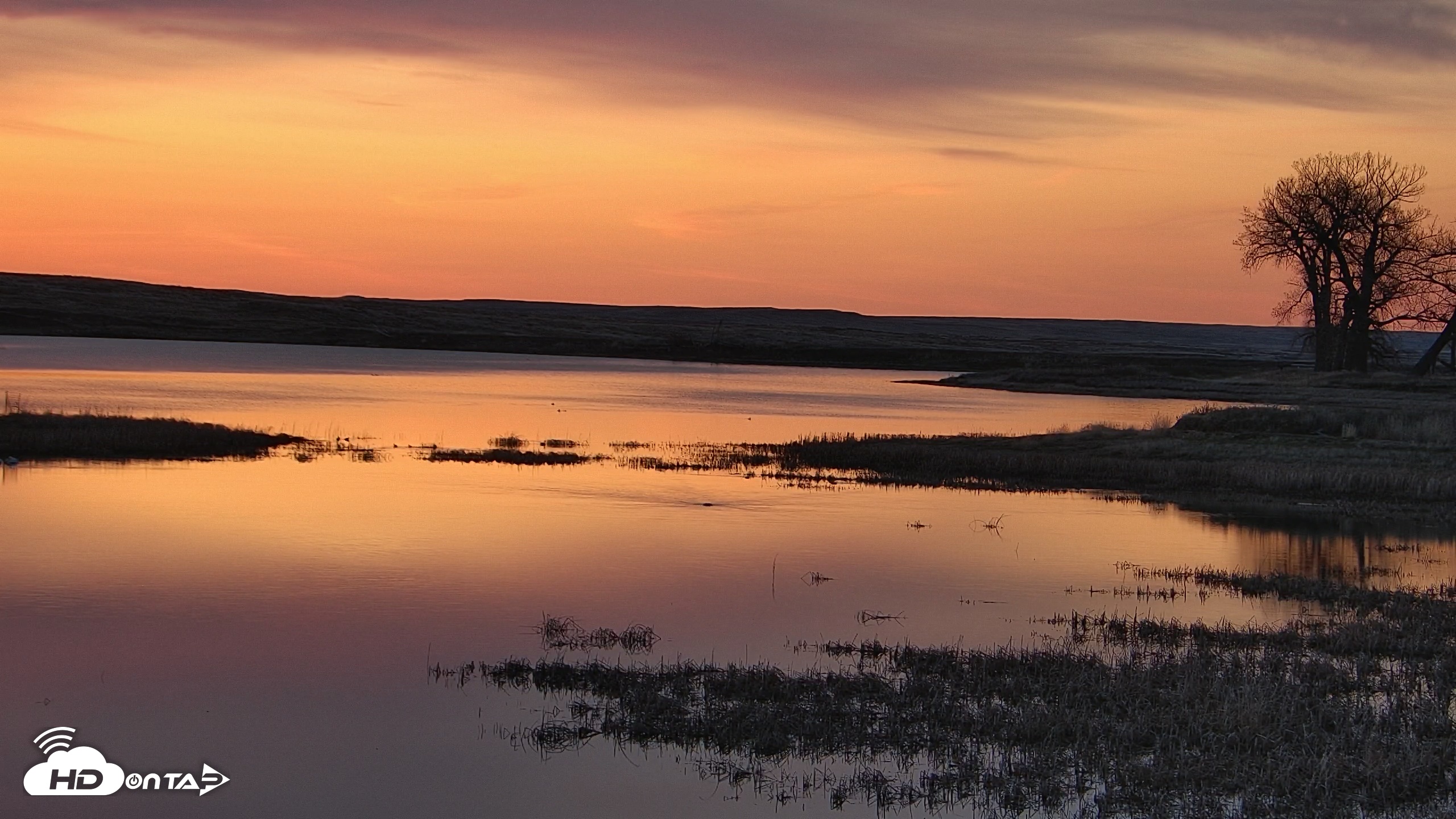 Snapshot of American Prairie Montana Bison Live Cam taken Apr 27, 2025, 5:50am MDT