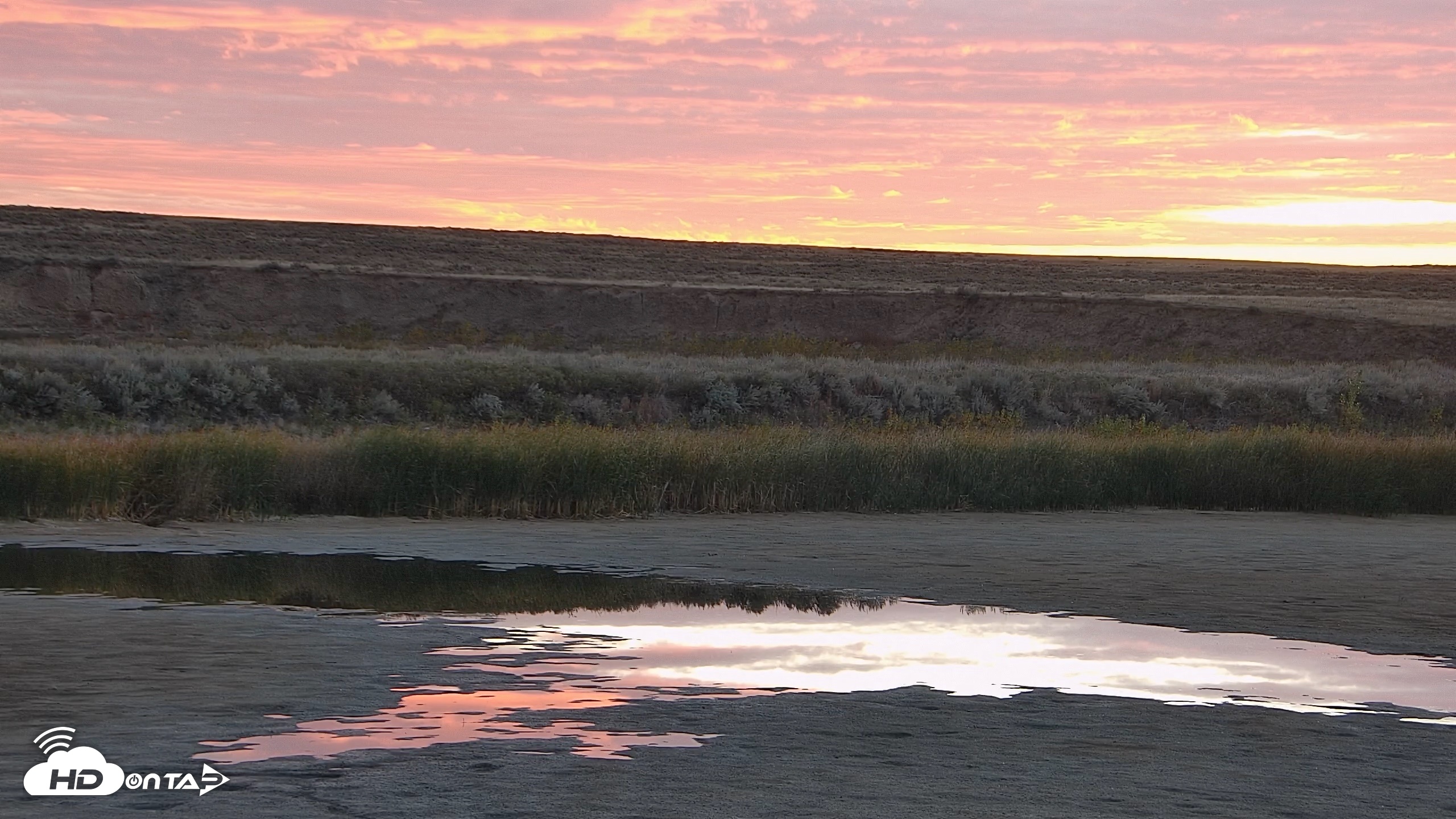 Snapshot of American Prairie Montana Bison Live Cam taken Sep 30, 2026, 7:07am MDT