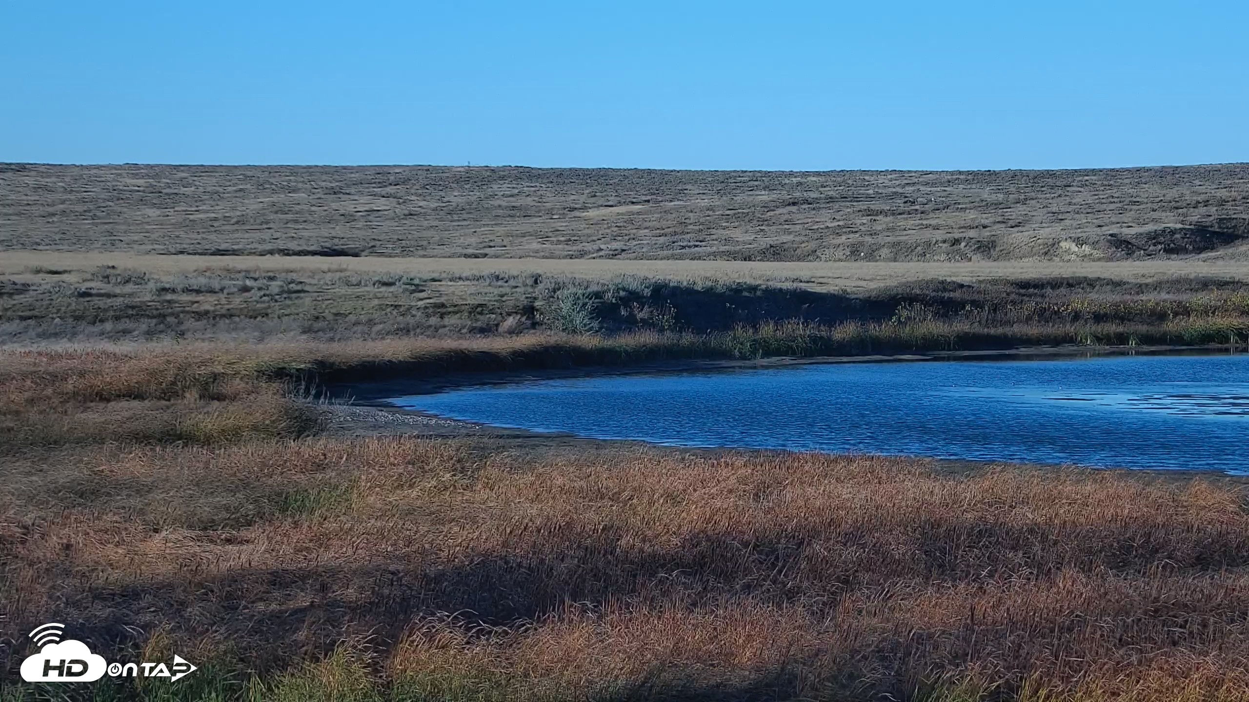 Snapshot of American Prairie Montana Bison Live Cam taken Oct 15, 2026, 5:27pm MDT