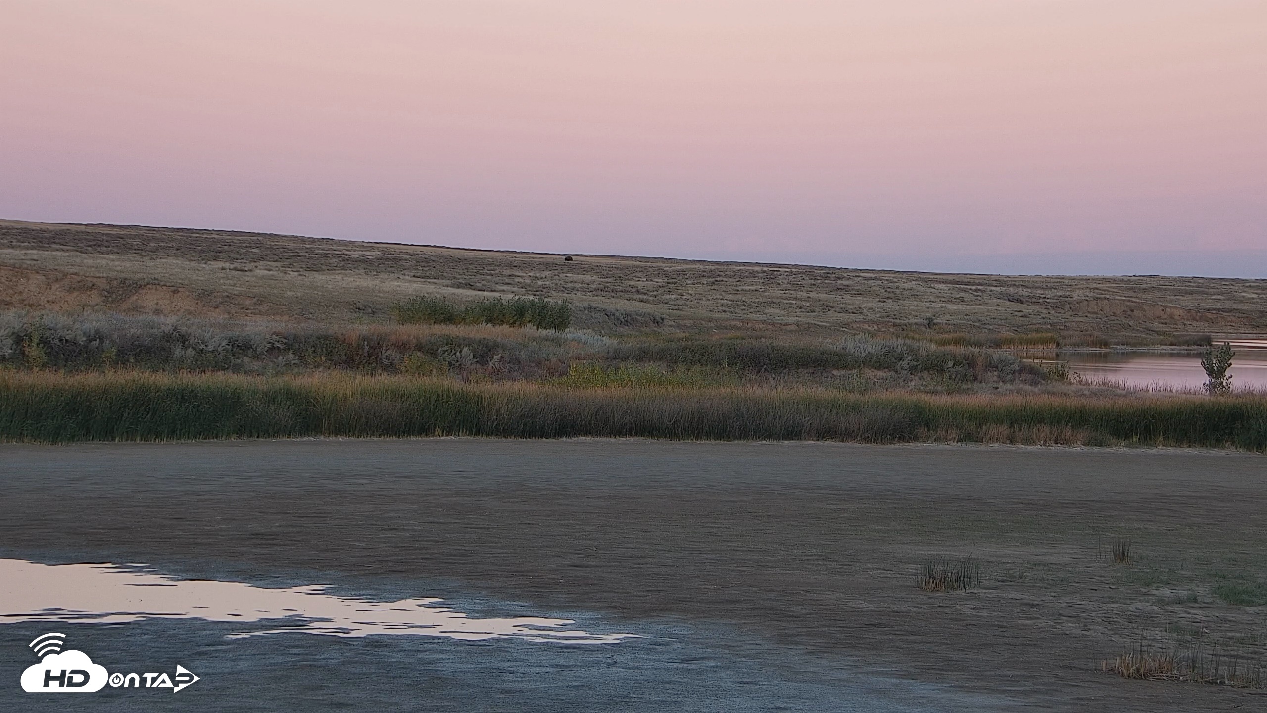 Snapshot of American Prairie Montana Bison Live Cam taken Sep 28, 2026, 6:53pm MDT