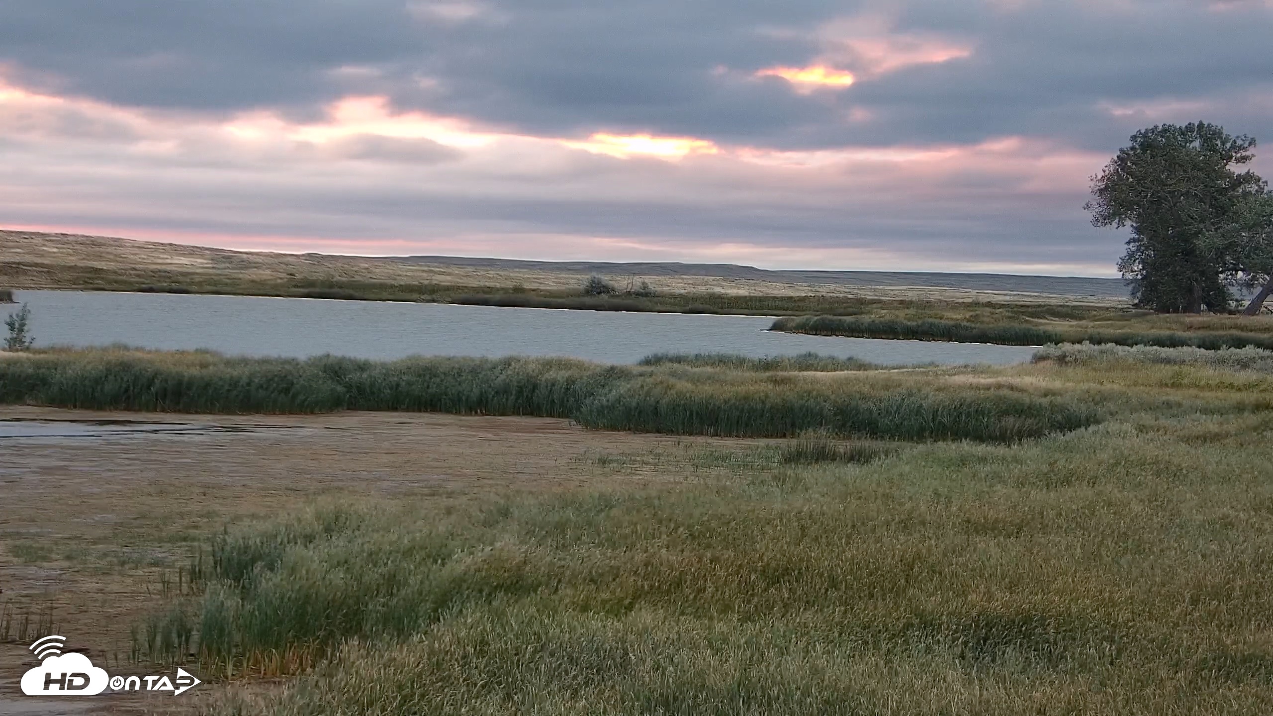 Snapshot of American Prairie Montana Bison Live Cam taken Sep 8, 2026, 6:41am MDT