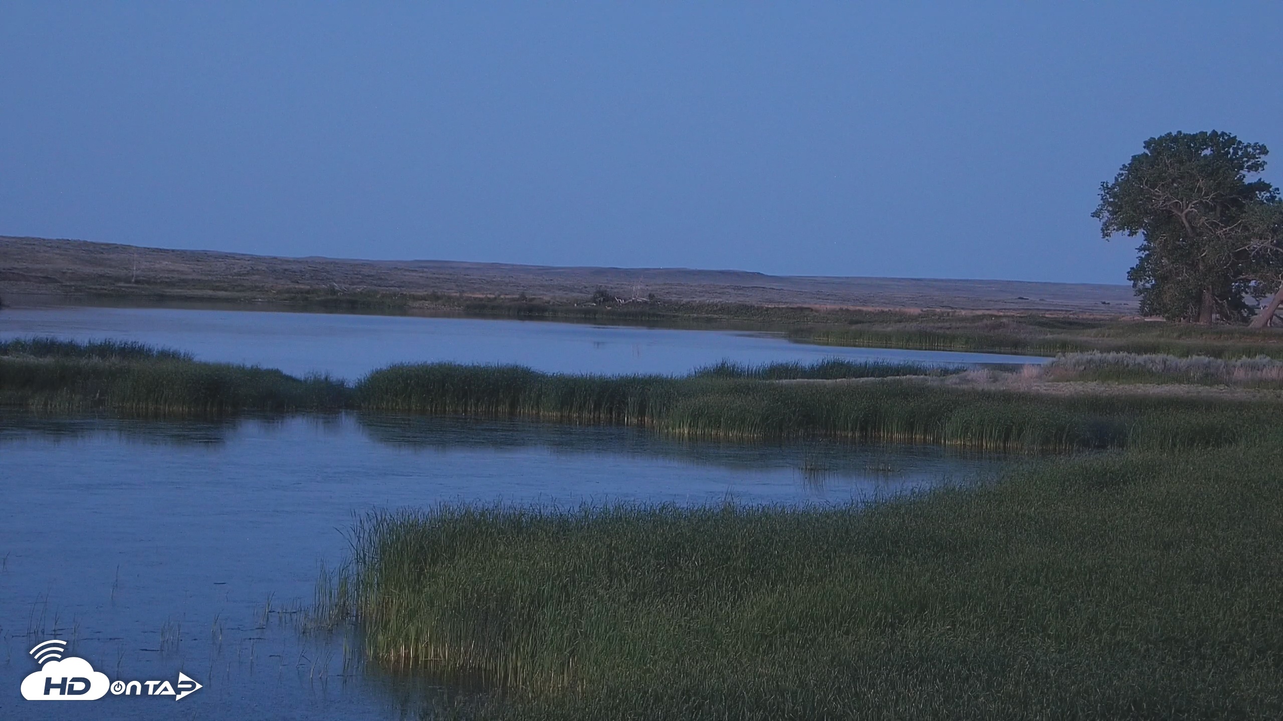 Snapshot of American Prairie Montana Bison Live Cam taken Jul 1, 2025, 9:43pm MDT