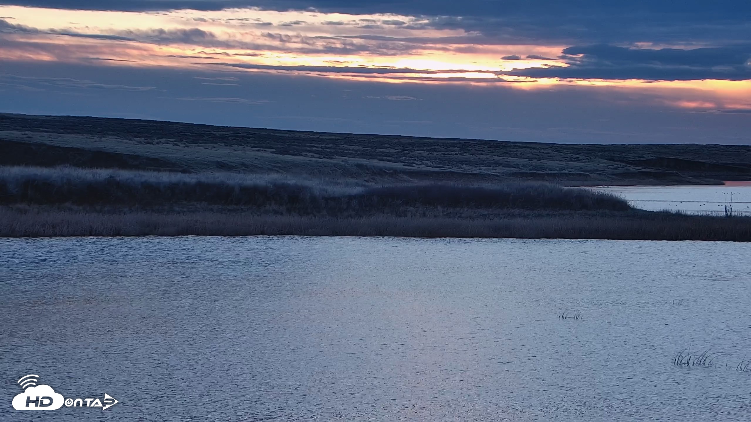 Snapshot of American Prairie Montana Bison Live Cam taken Apr 12, 2026, 6:30am MDT