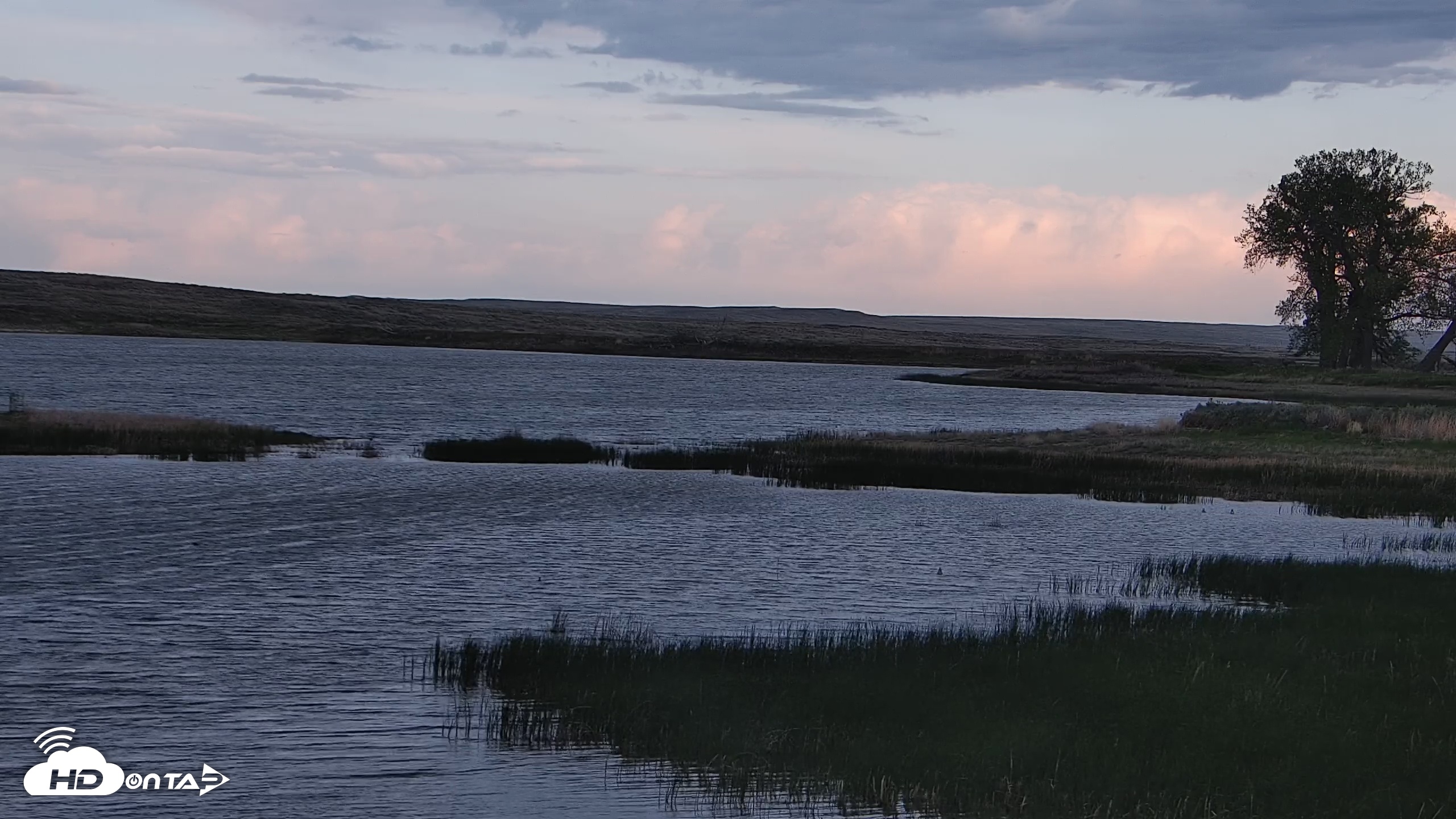 Snapshot of American Prairie Montana Bison Live Cam taken May 17, 2025, 7:13pm MDT