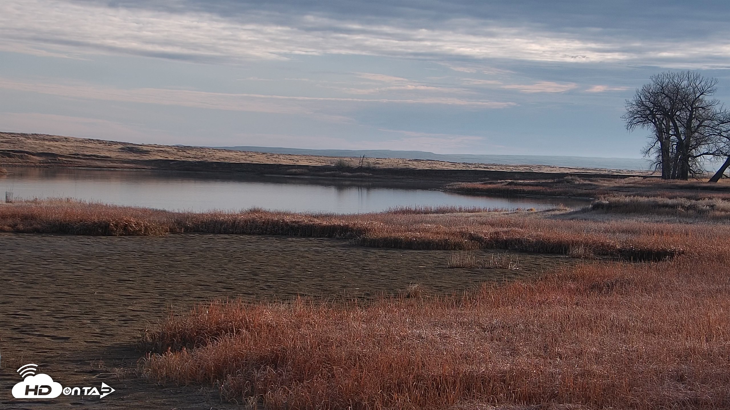 Snapshot of American Prairie Montana Bison Live Cam taken Nov 16, 2025, 8:41am MST