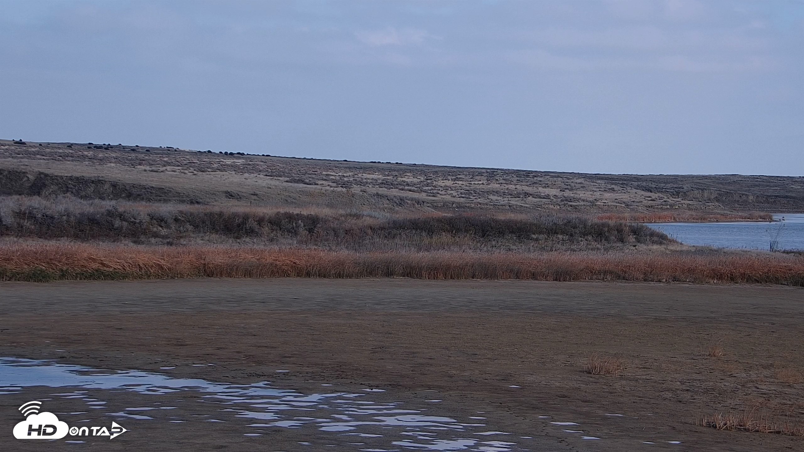 Snapshot of American Prairie Montana Bison Live Cam taken Oct 28, 2026, 2:08pm MDT