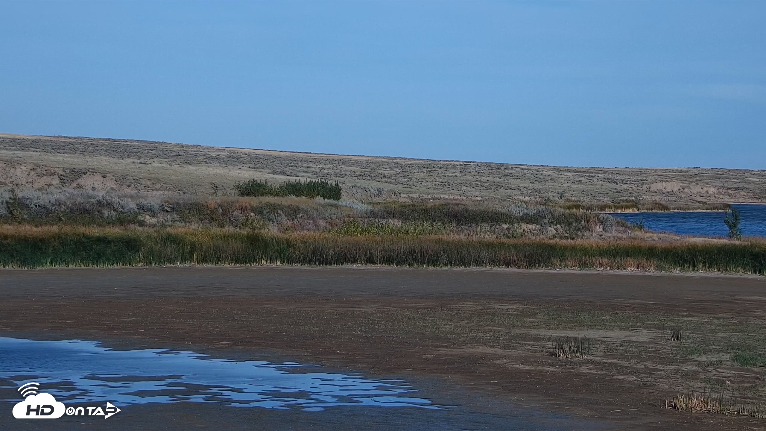 Snapshot of American Prairie Montana Bison Live Cam taken Sep 25, 2026, 4:41pm MDT