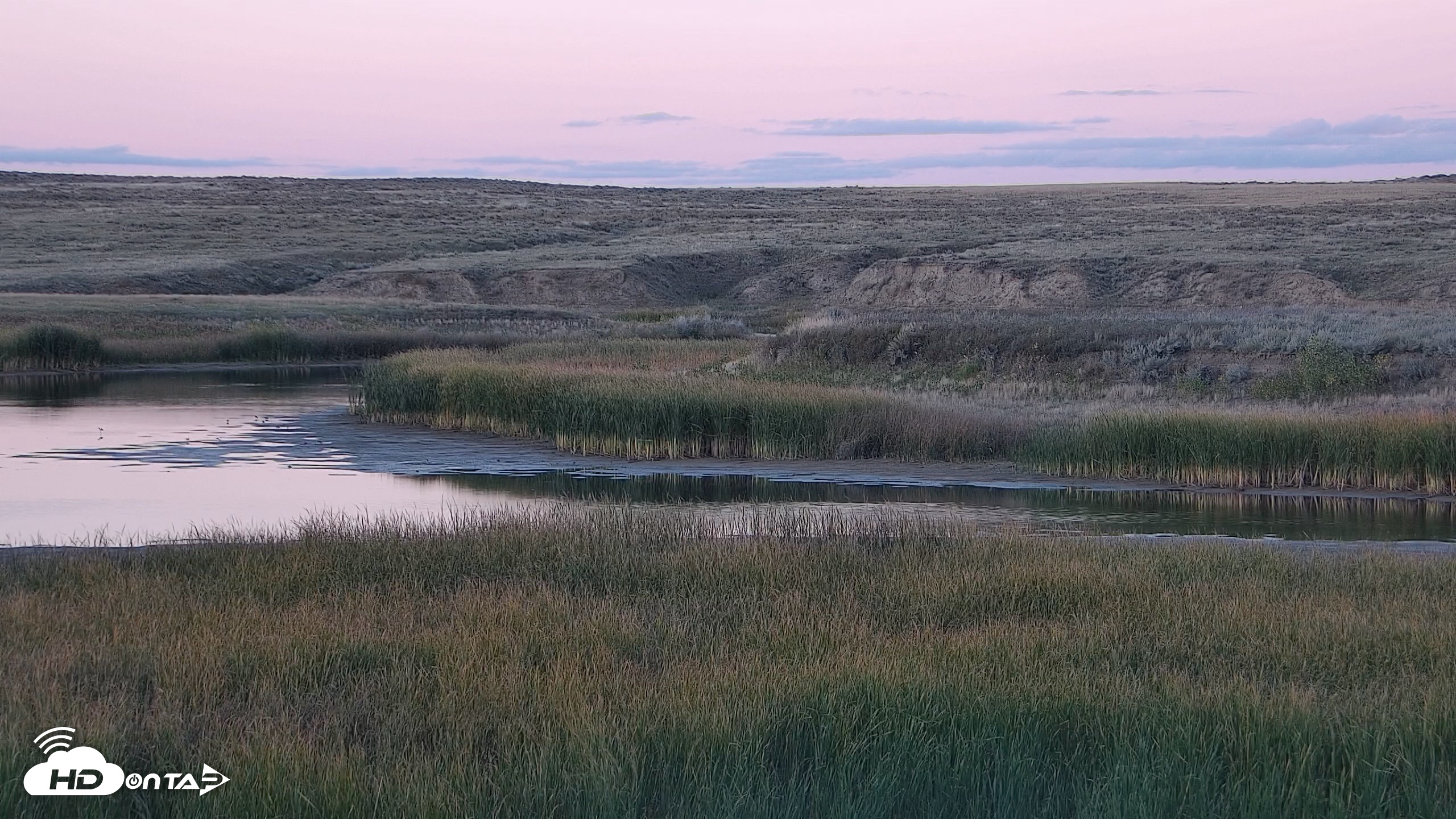 Snapshot of American Prairie Montana Bison Live Cam taken Sep 21, 2026, 7:11pm MDT