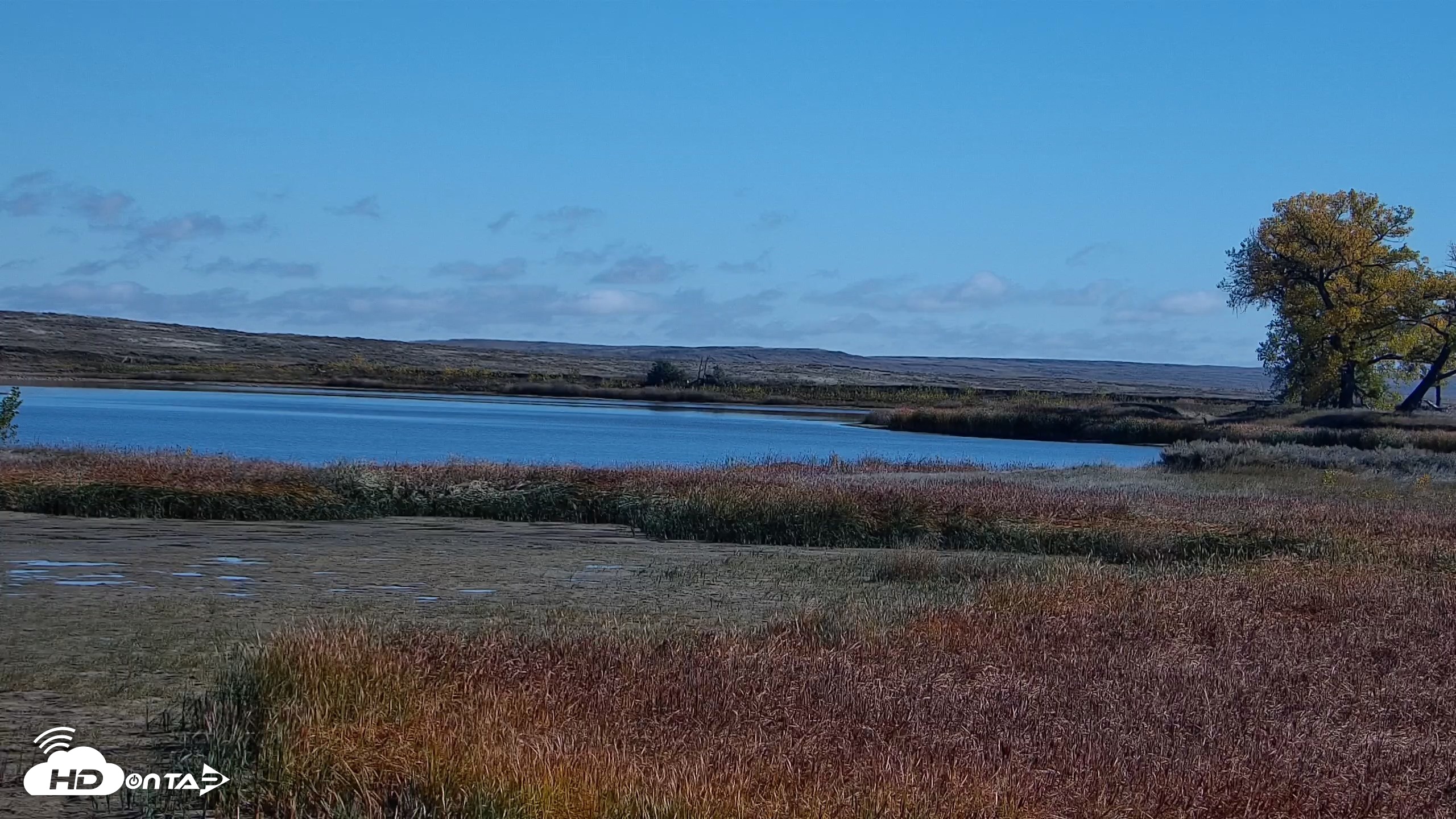 Snapshot of American Prairie Montana Bison Live Cam taken Oct 13, 2026, 12:08pm MDT