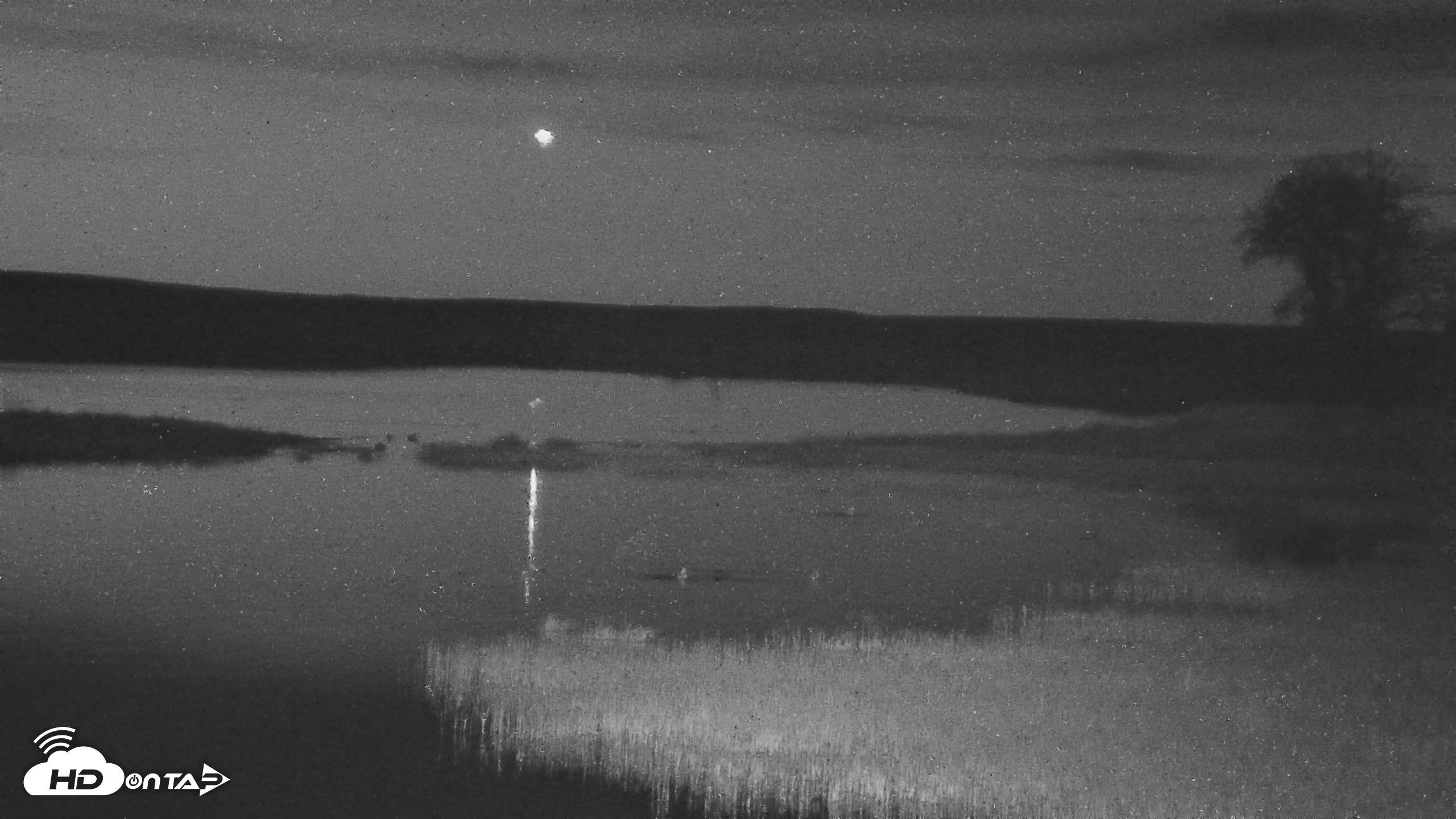 Snapshot of American Prairie Montana Bison Live Cam taken May 10, 2025, 4:23am MDT
