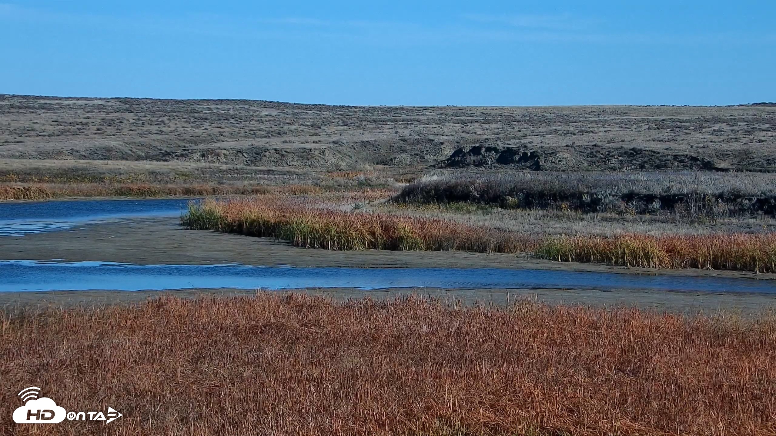 Snapshot of American Prairie Montana Bison Live Cam taken Oct 21, 2026, 11:29am MDT