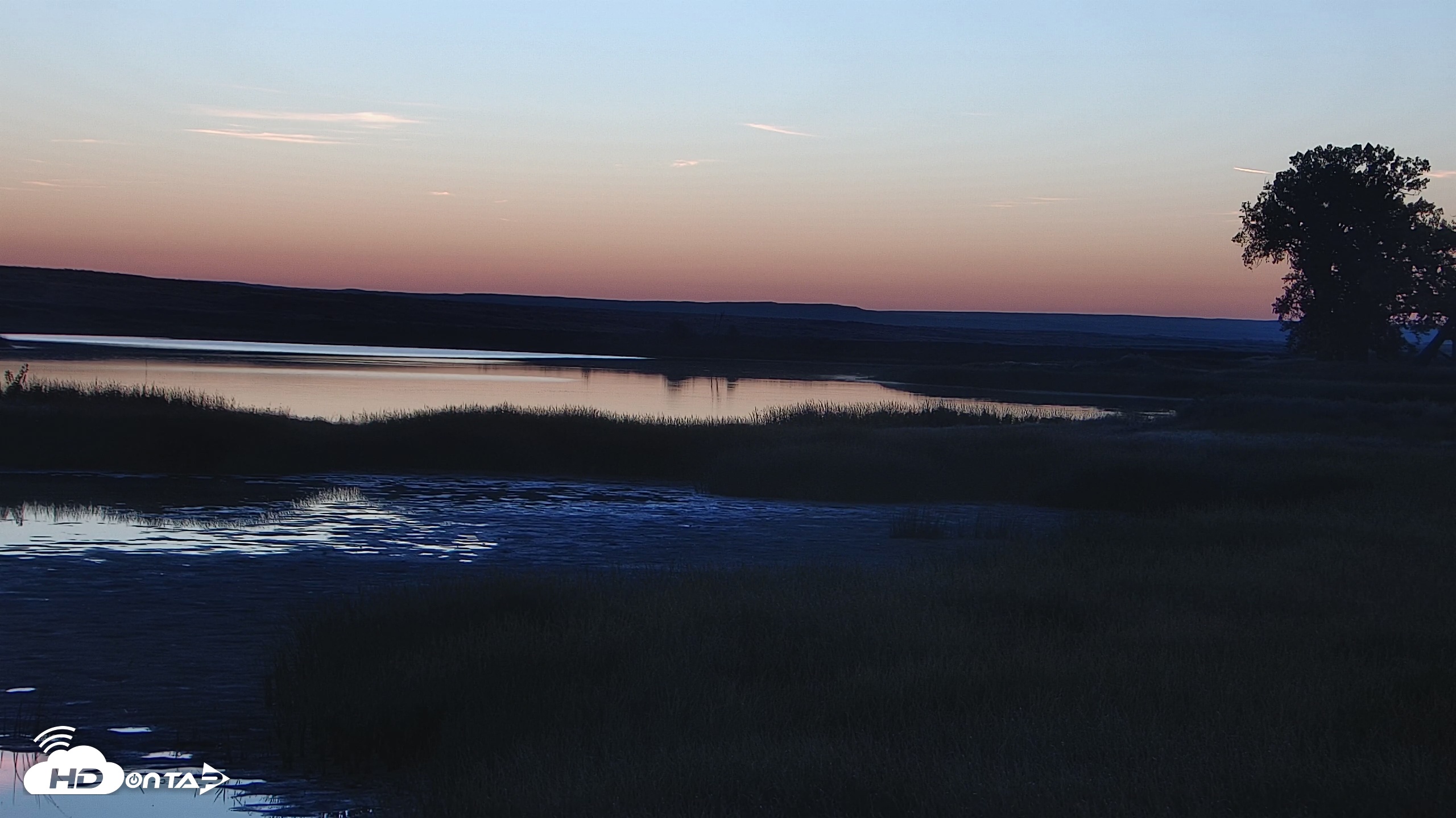 Snapshot of American Prairie Montana Bison Live Cam taken Sep 24, 2025, 6:44am MDT
