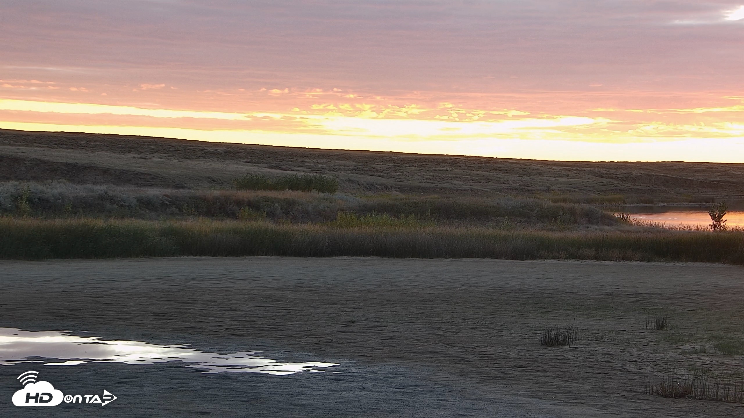 Snapshot of American Prairie Montana Bison Live Cam taken Sep 30, 2026, 7:11am MDT
