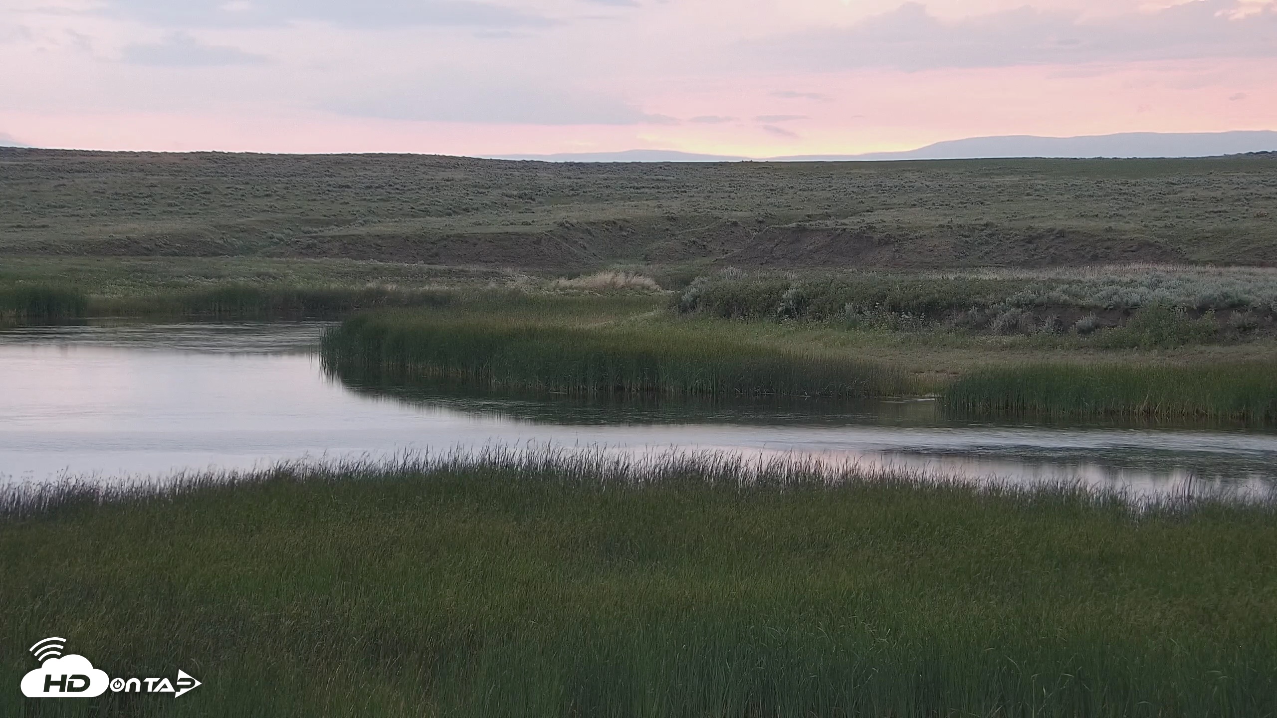 Snapshot of American Prairie Montana Bison Live Cam taken Jun 27, 2026, 5:36am MDT