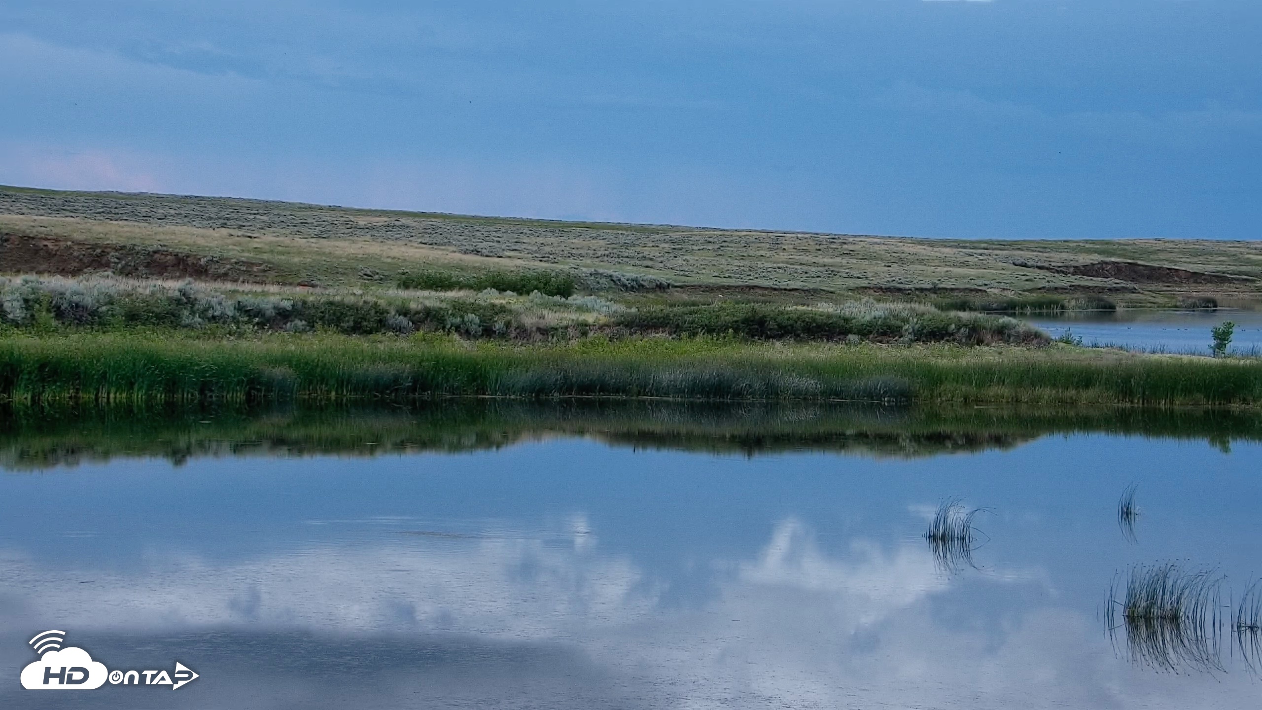 Snapshot of American Prairie Montana Bison Live Cam taken Jun 27, 2026, 6:56pm MDT