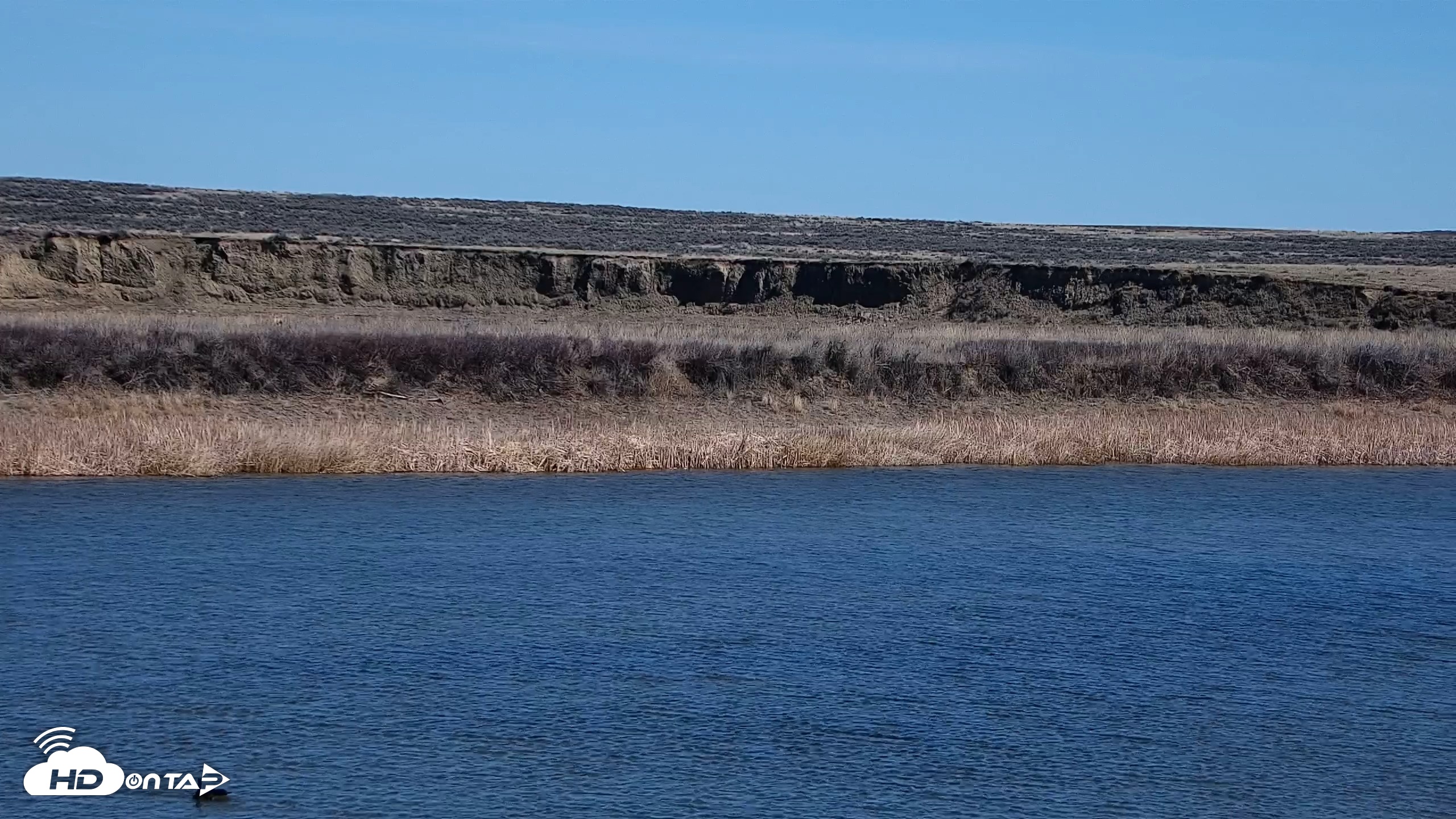 Snapshot of American Prairie Montana Bison Live Cam taken Apr 10, 2026, 12:53pm MDT