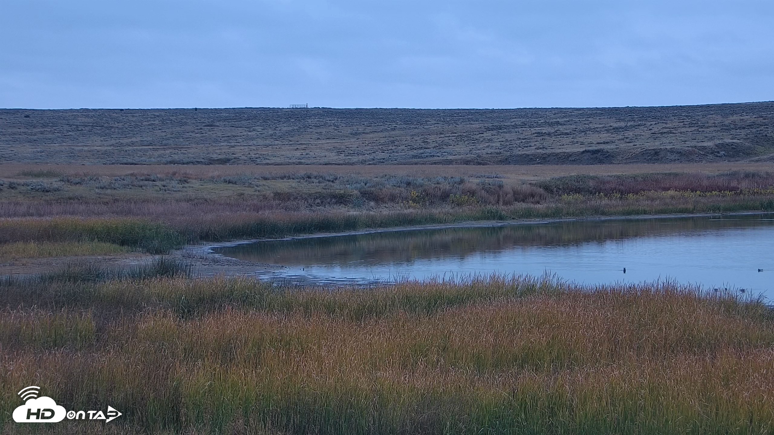 Snapshot of American Prairie Montana Bison Live Cam taken Oct 15, 2025, 11:14am MDT