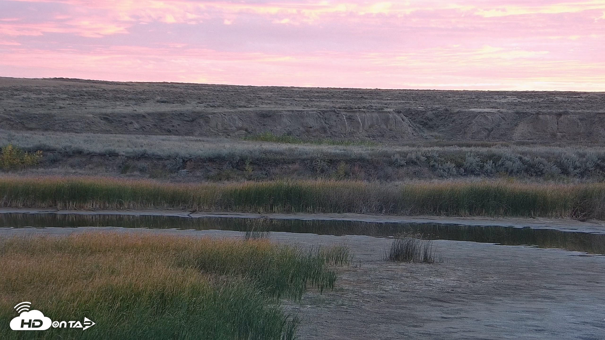 Snapshot of American Prairie Montana Bison Live Cam taken Sep 30, 2026, 7:06am MDT