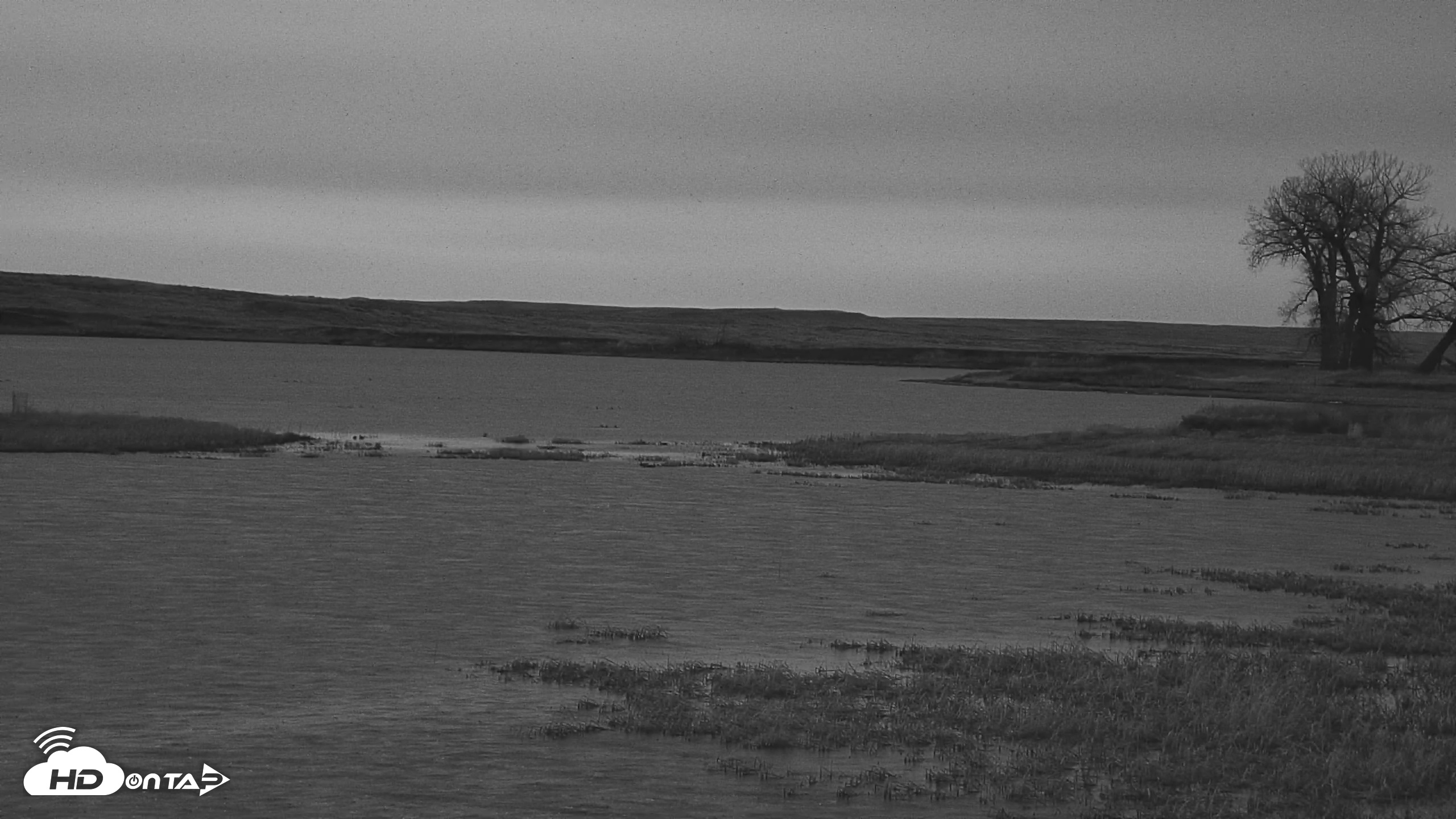 Snapshot of American Prairie Montana Bison Live Cam taken Apr 17, 2025, 5:52am MDT