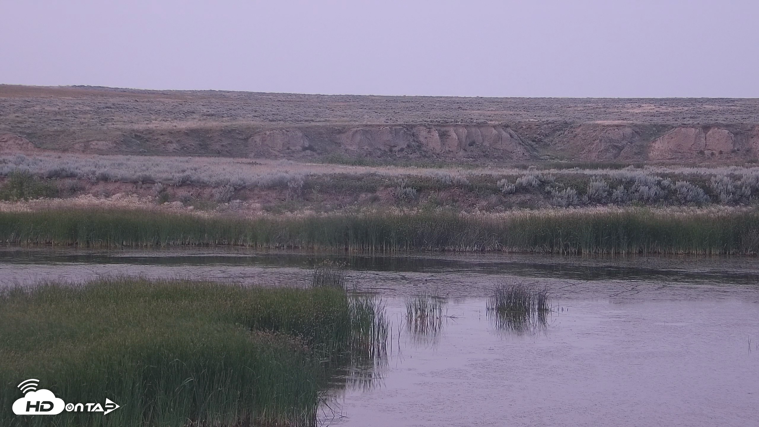 Snapshot of American Prairie Montana Bison Live Cam taken Jul 22, 2026, 9:13pm MDT