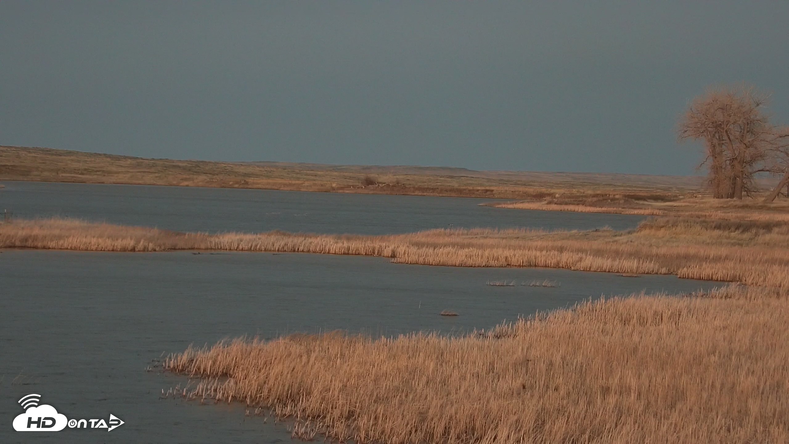 Snapshot of American Prairie Montana Bison Live Cam taken Apr 26, 2026, 8:41pm MDT