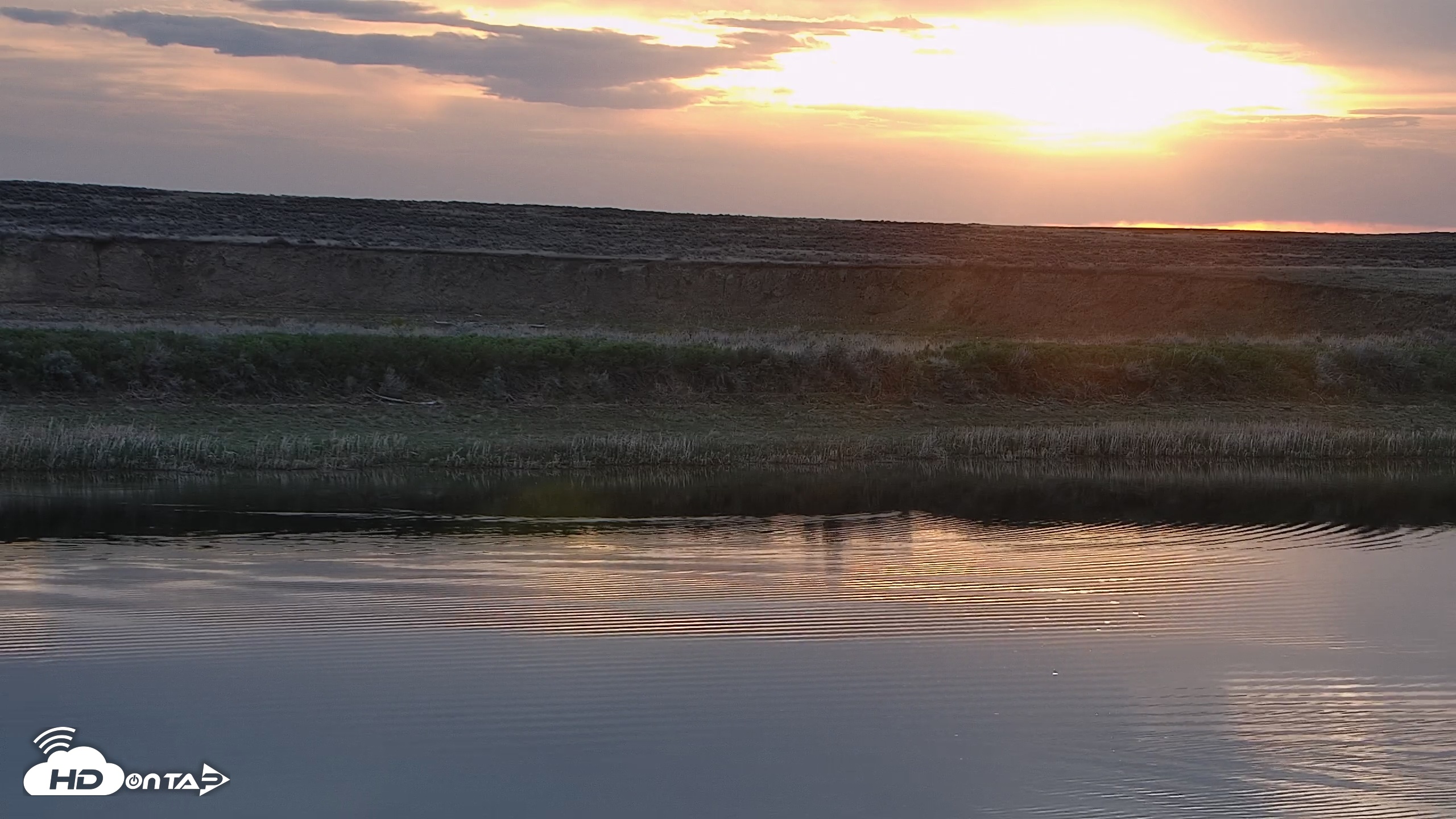 Snapshot of American Prairie Montana Bison Live Cam taken May 11, 2025, 5:55am MDT