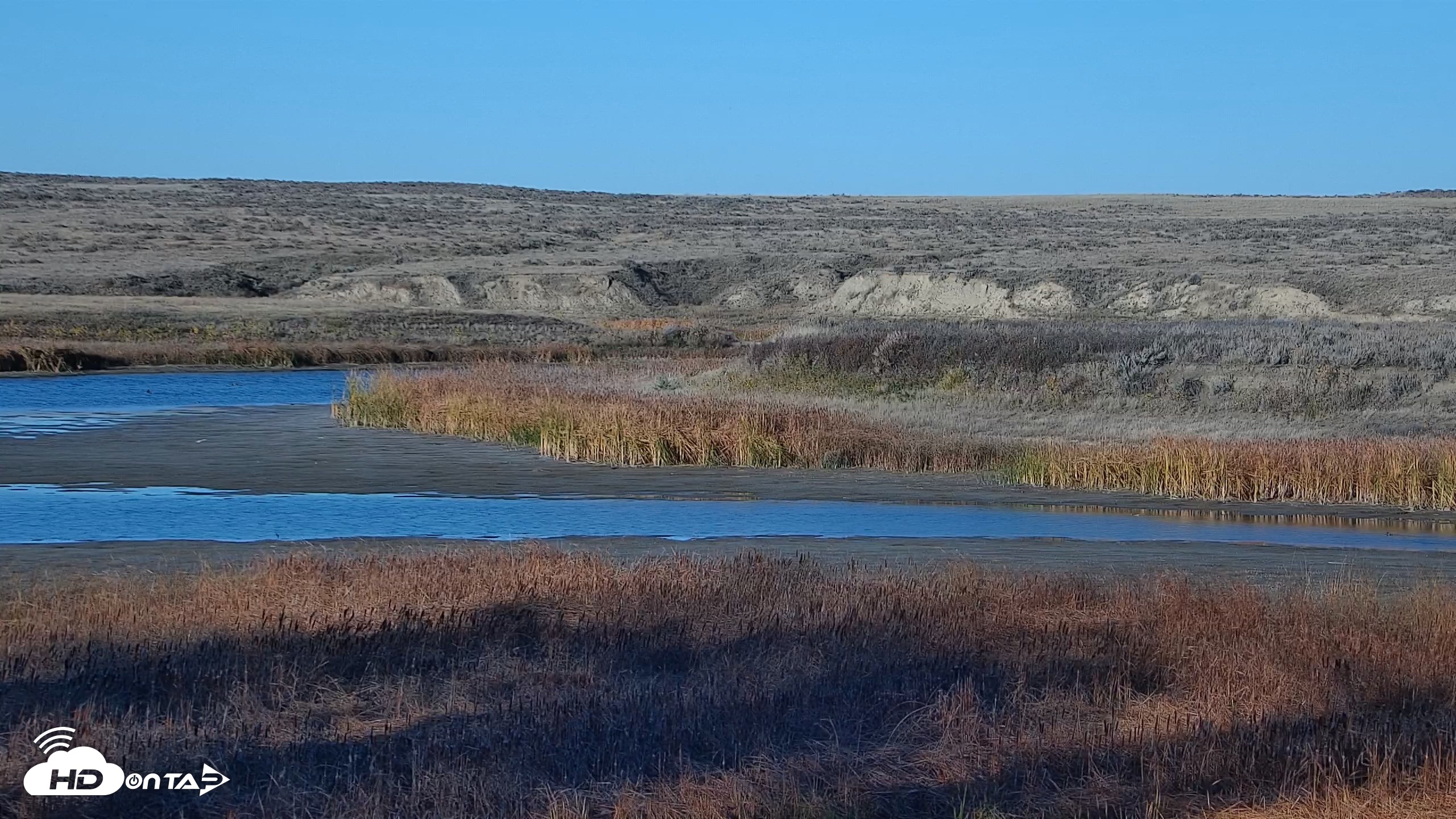 Snapshot of American Prairie Montana Bison Live Cam taken Oct 22, 2026, 4:47pm MDT