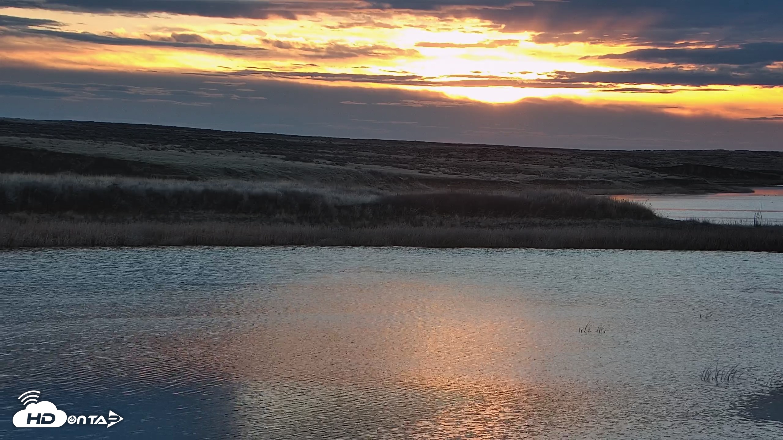 Snapshot of American Prairie Montana Bison Live Cam taken Apr 12, 2026, 6:36am MDT