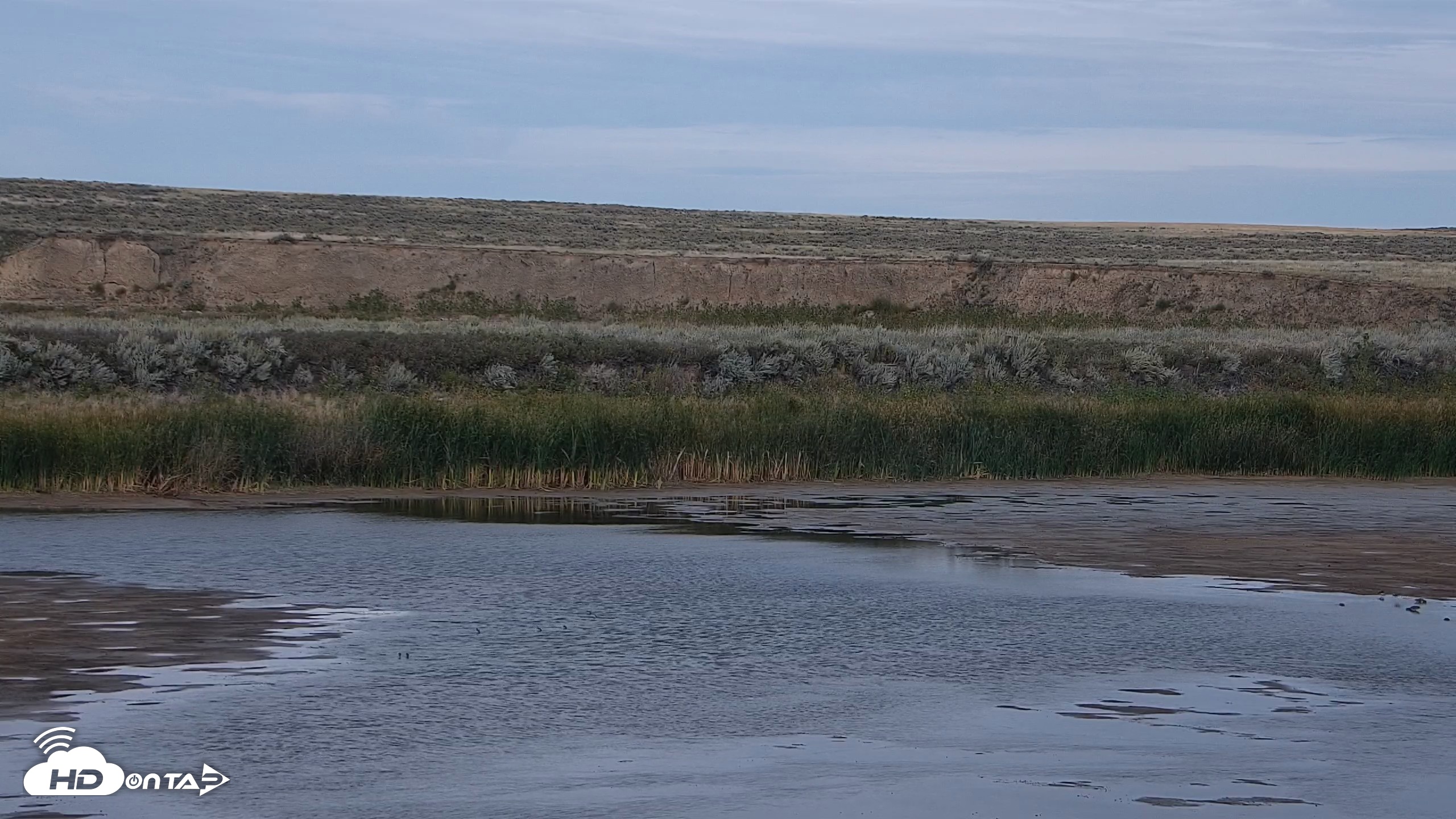 Snapshot of American Prairie Montana Bison Live Cam taken Sep 15, 2026, 5:24pm MDT