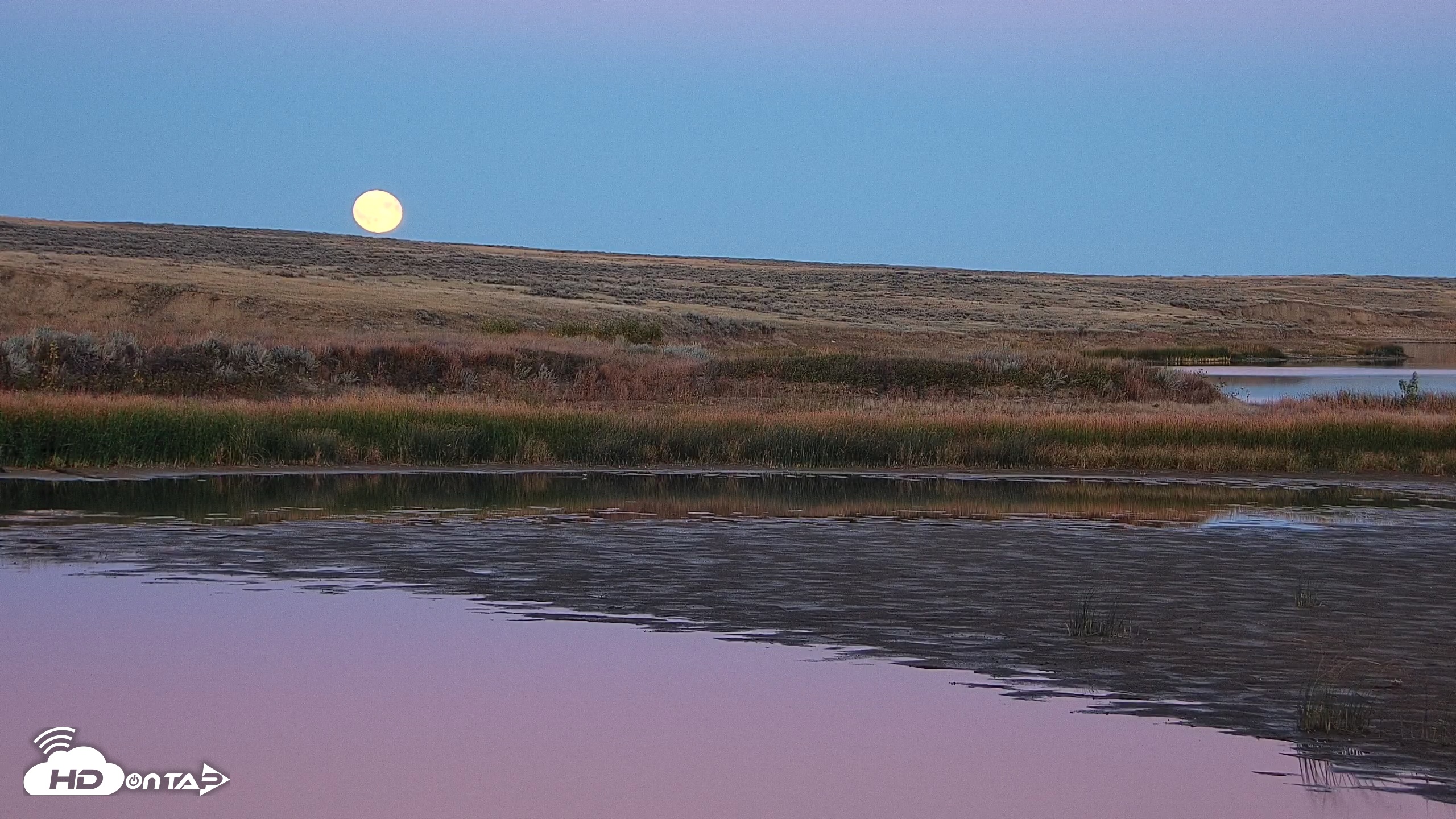 Snapshot of American Prairie Montana Bison Live Cam taken Oct 7, 2025, 6:47pm MDT
