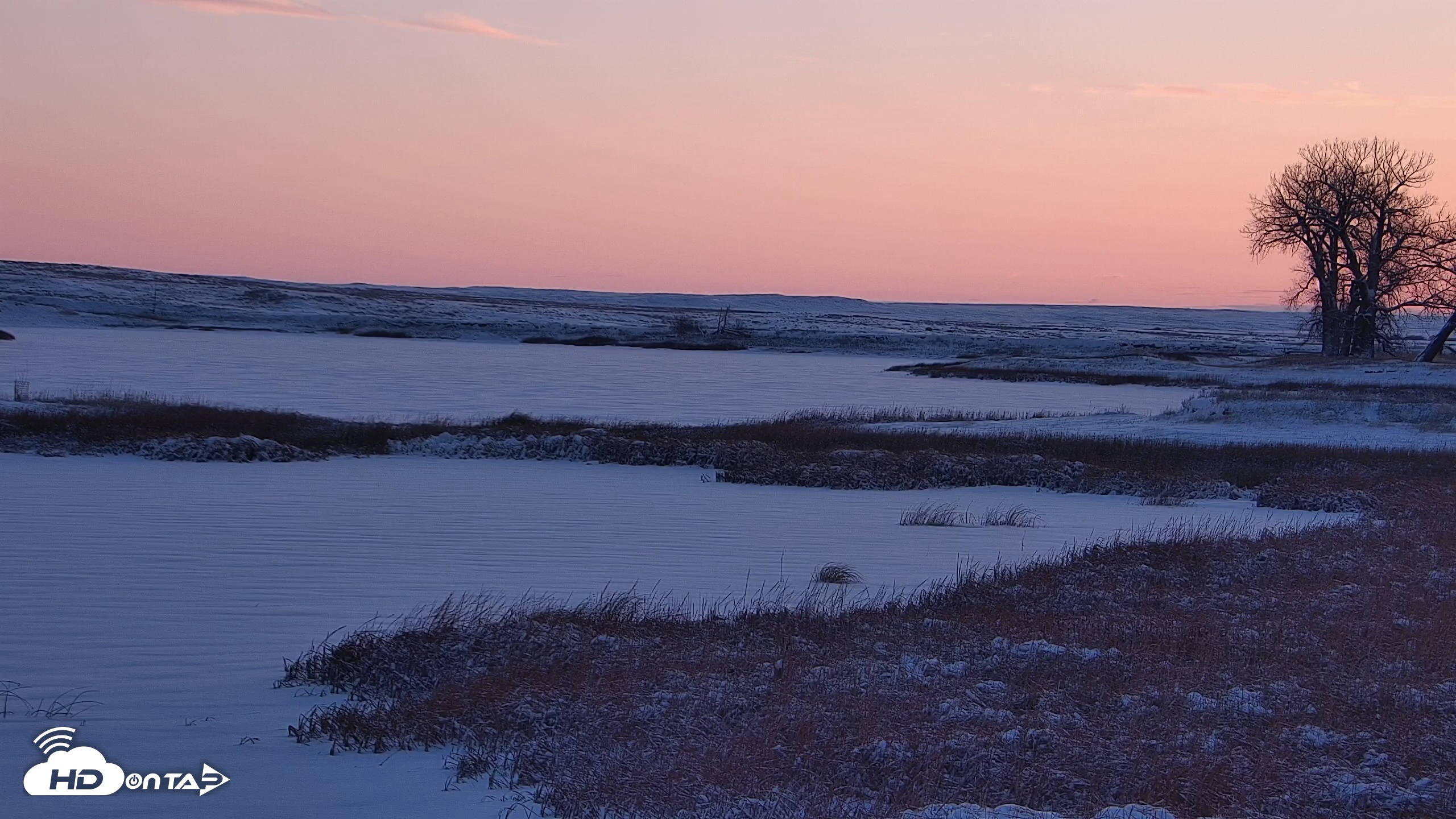 Snapshot of American Prairie Montana Bison Live Cam taken Dec 13, 2025, 7:55am MST
