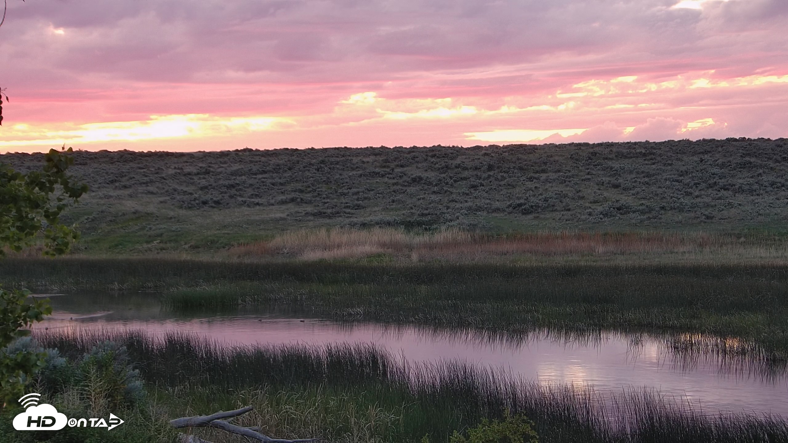 Snapshot of American Prairie Montana Bison Live Cam taken May 24, 2025, 8:58pm MDT