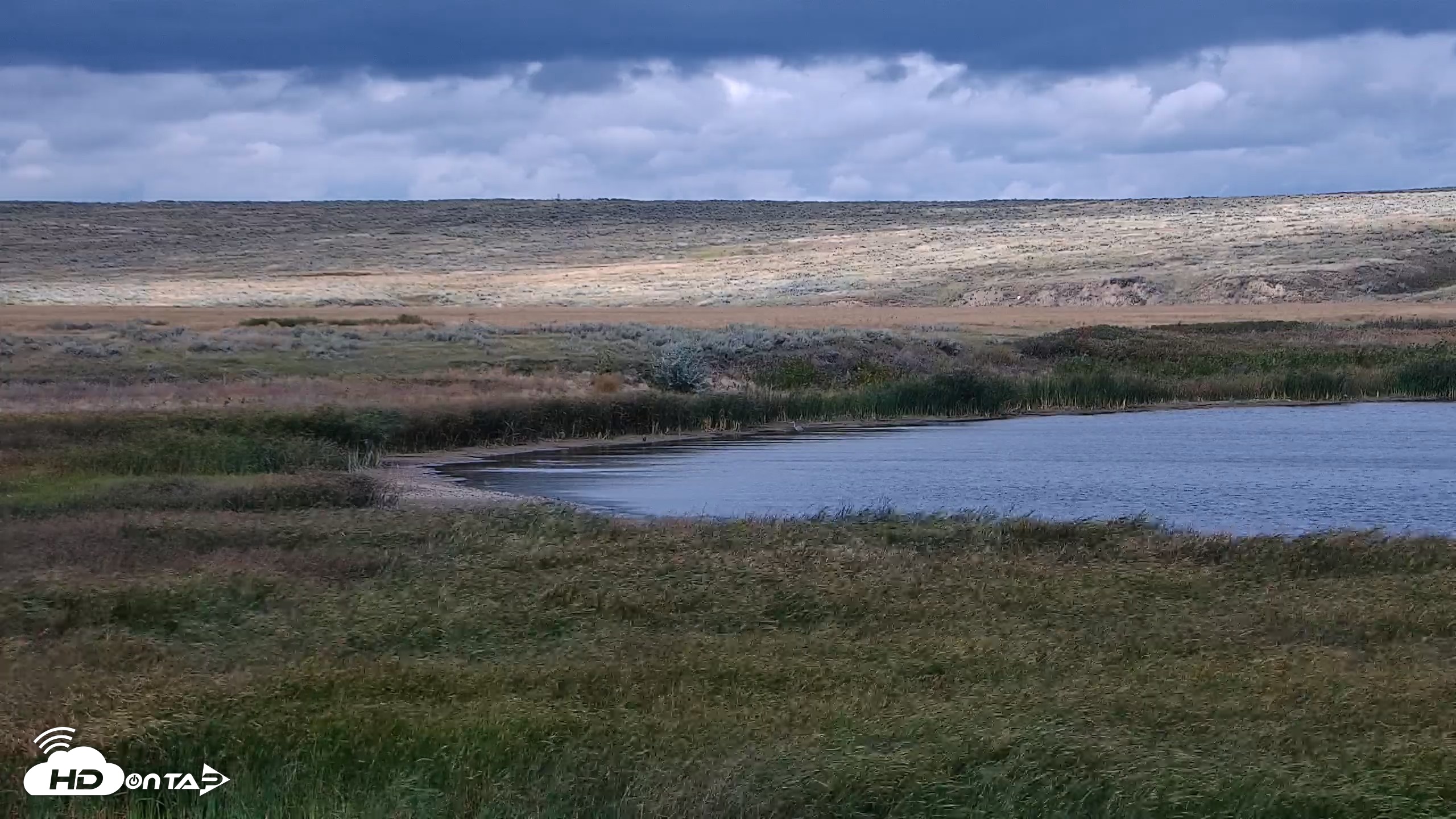 Snapshot of American Prairie Montana Bison Live Cam taken Sep 8, 2026, 2:56pm MDT