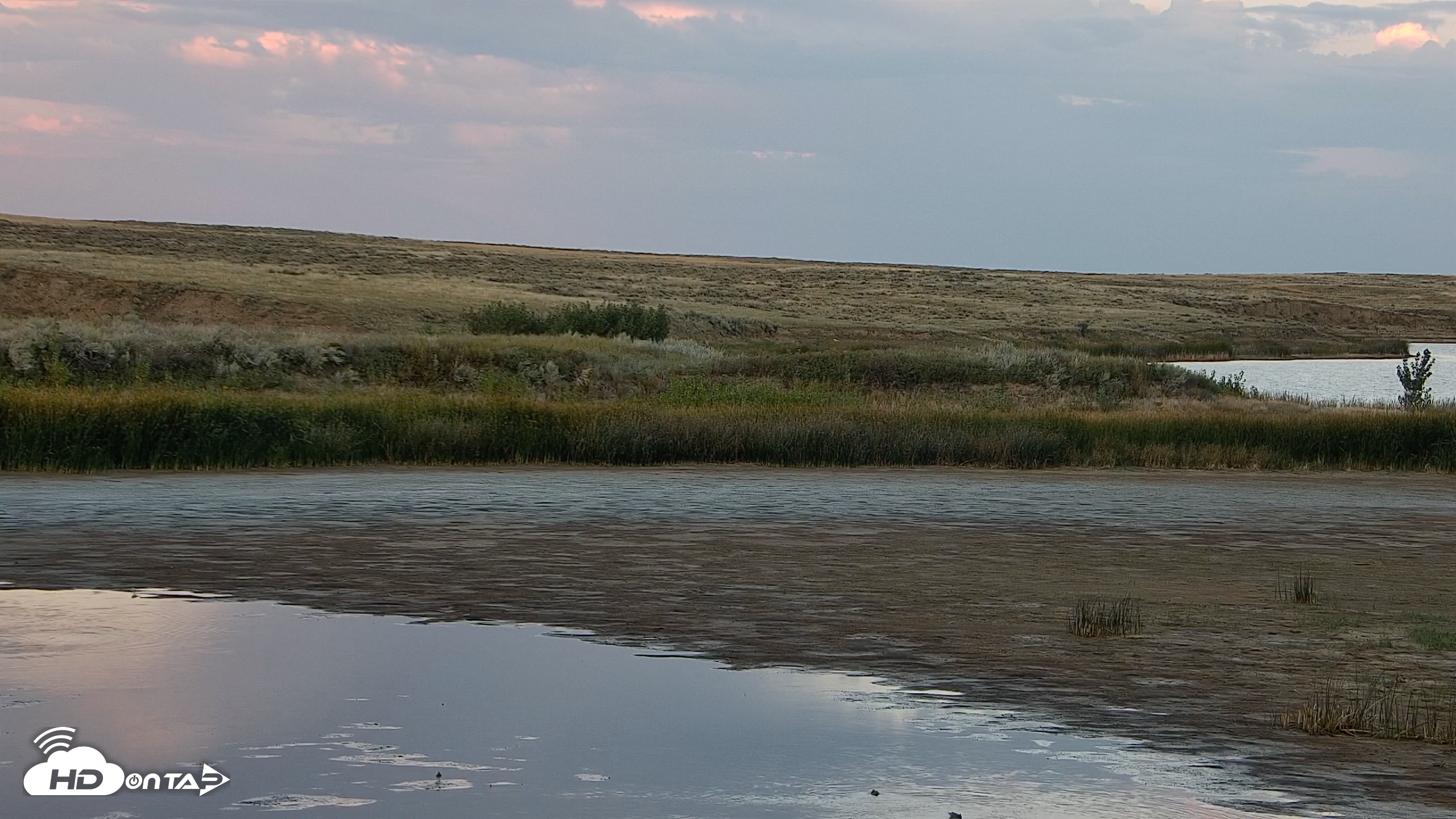 Snapshot of American Prairie Montana Bison Live Cam taken Sep 13, 2026, 7:16pm MDT