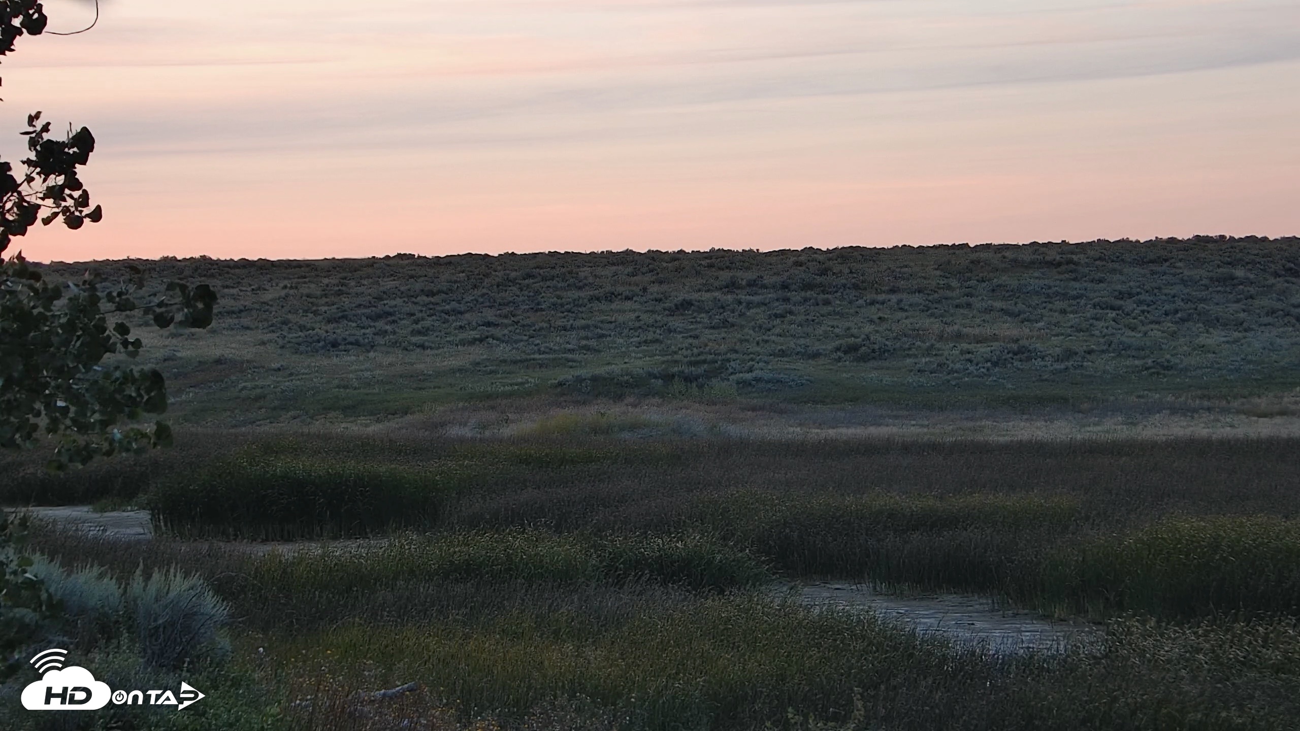 Snapshot of American Prairie Montana Bison Live Cam taken Sep 11, 2026, 7:31pm MDT