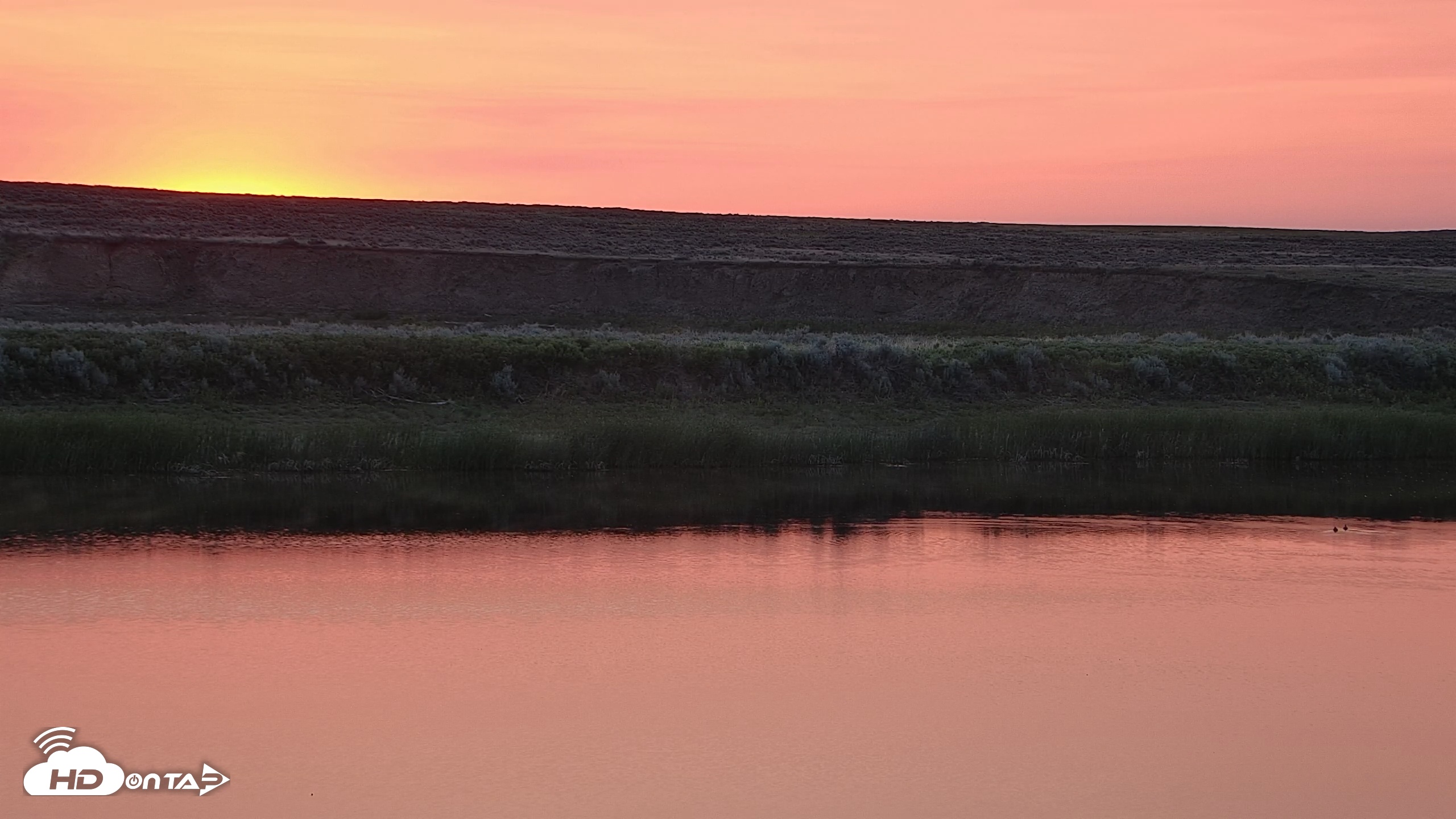 Snapshot of American Prairie Montana Bison Live Cam taken Jun 3, 2025, 5:17am MDT