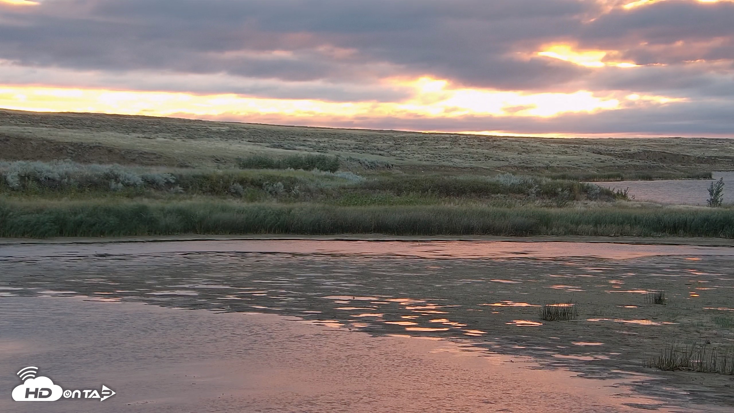 Snapshot of American Prairie Montana Bison Live Cam taken Sep 8, 2026, 6:44am MDT