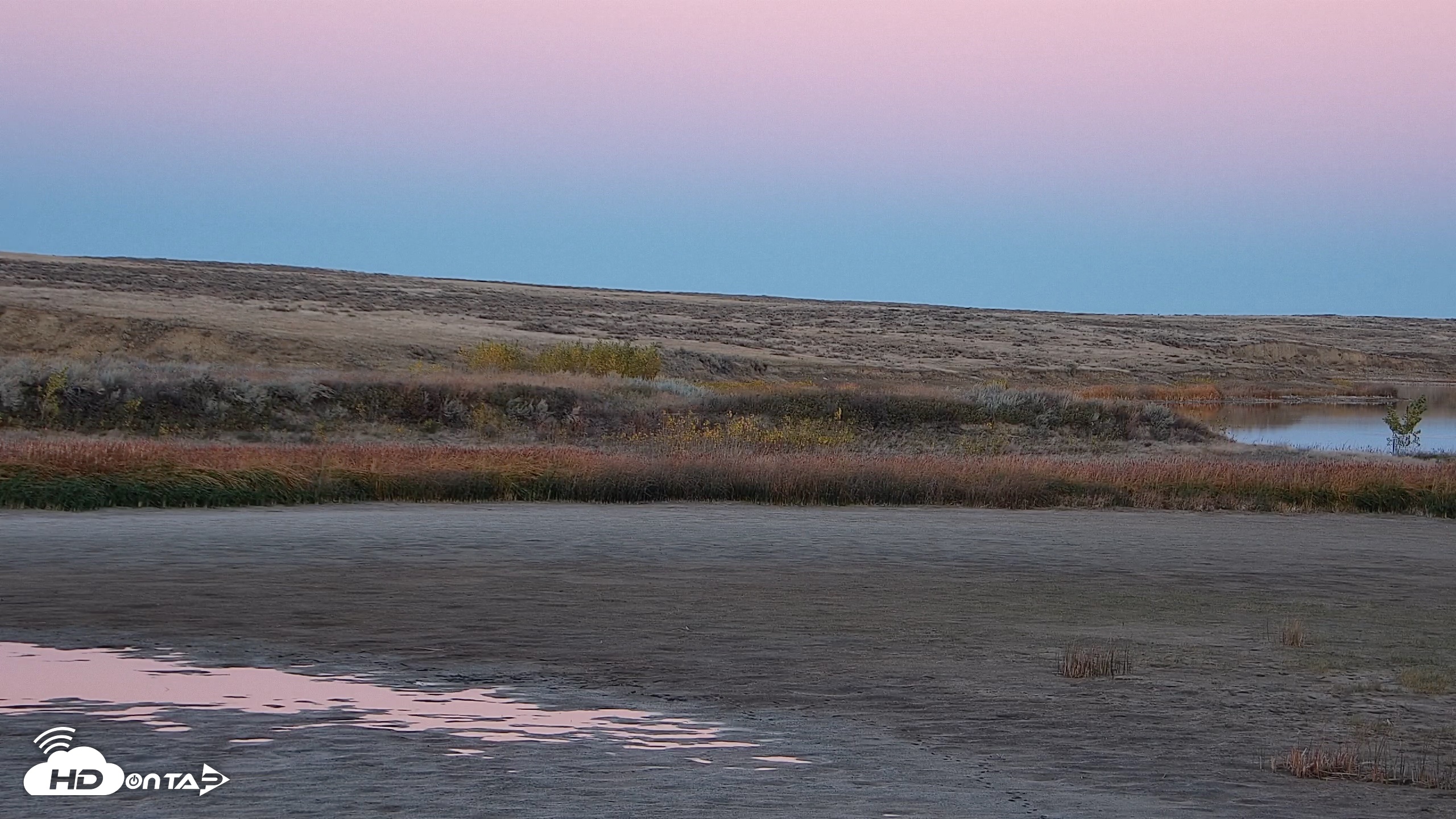 Snapshot of American Prairie Montana Bison Live Cam taken Oct 15, 2026, 6:27pm MDT